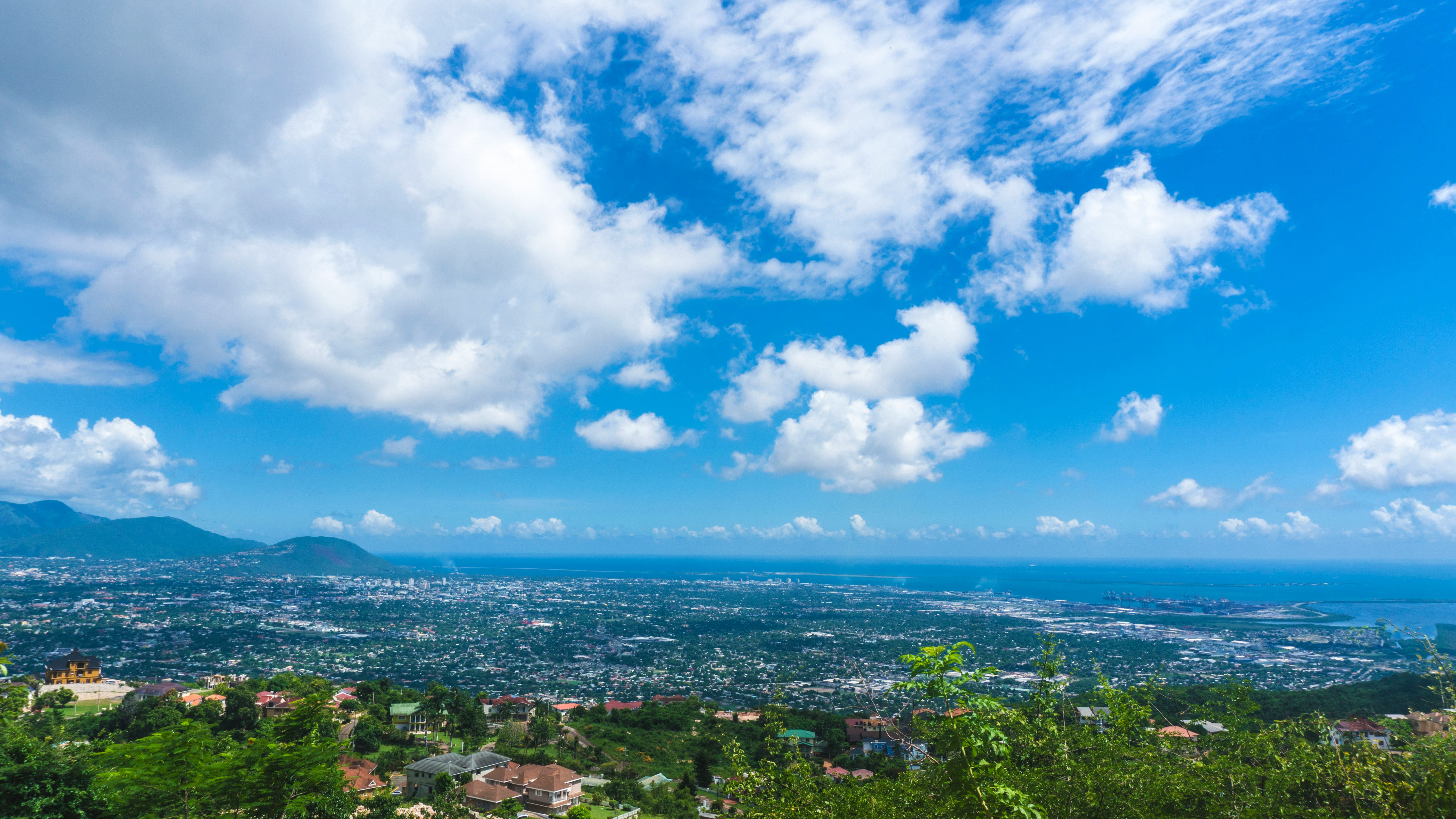 founder-institute-jamaica-produces-4-new-technology-companies hero image