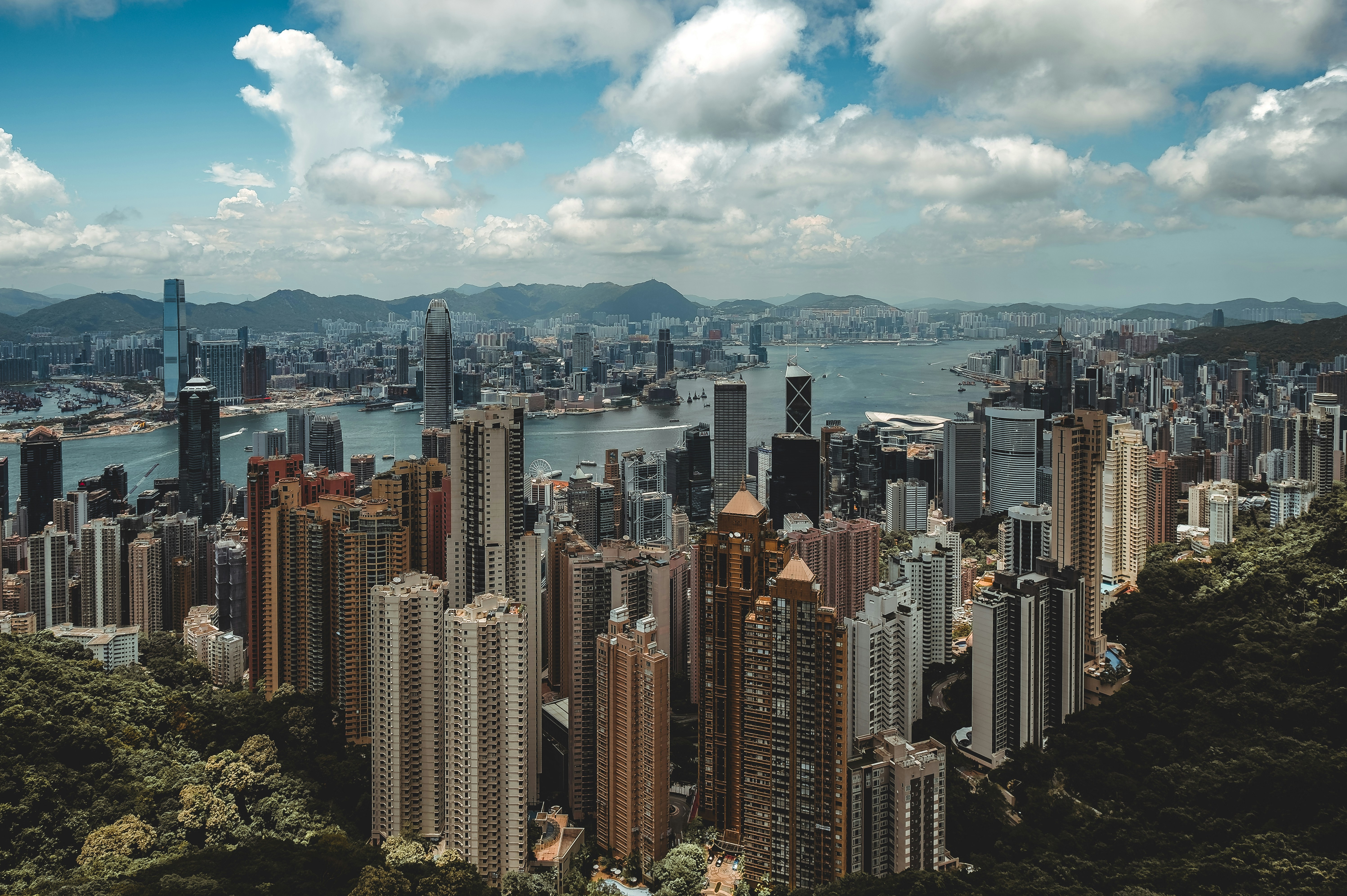 build-a-great-startup-in-2025-with-the-fi-hong-kong-startup-accelerator hero image