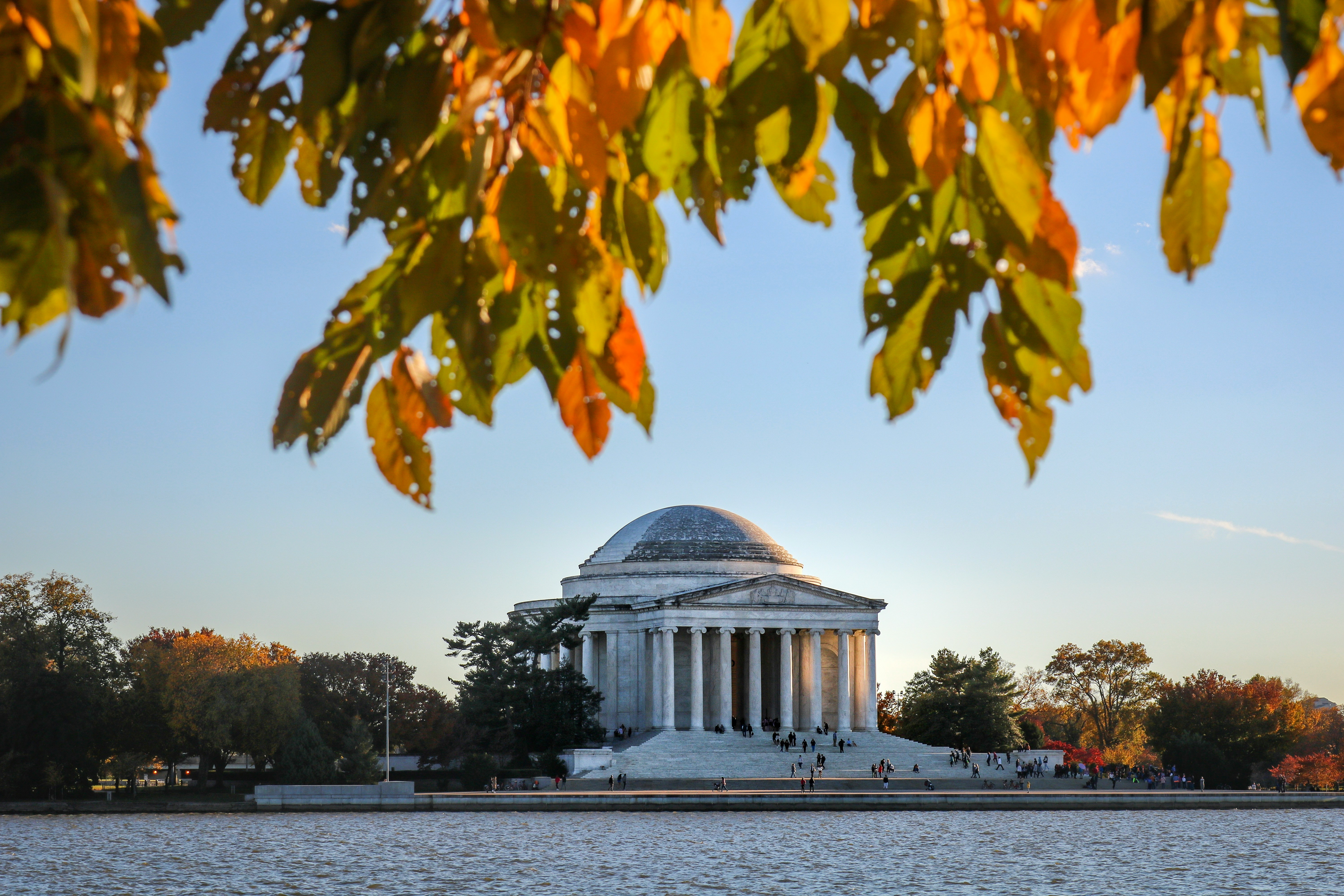 founder-institute-washington-dc-produces-7-new-technology-companies hero image