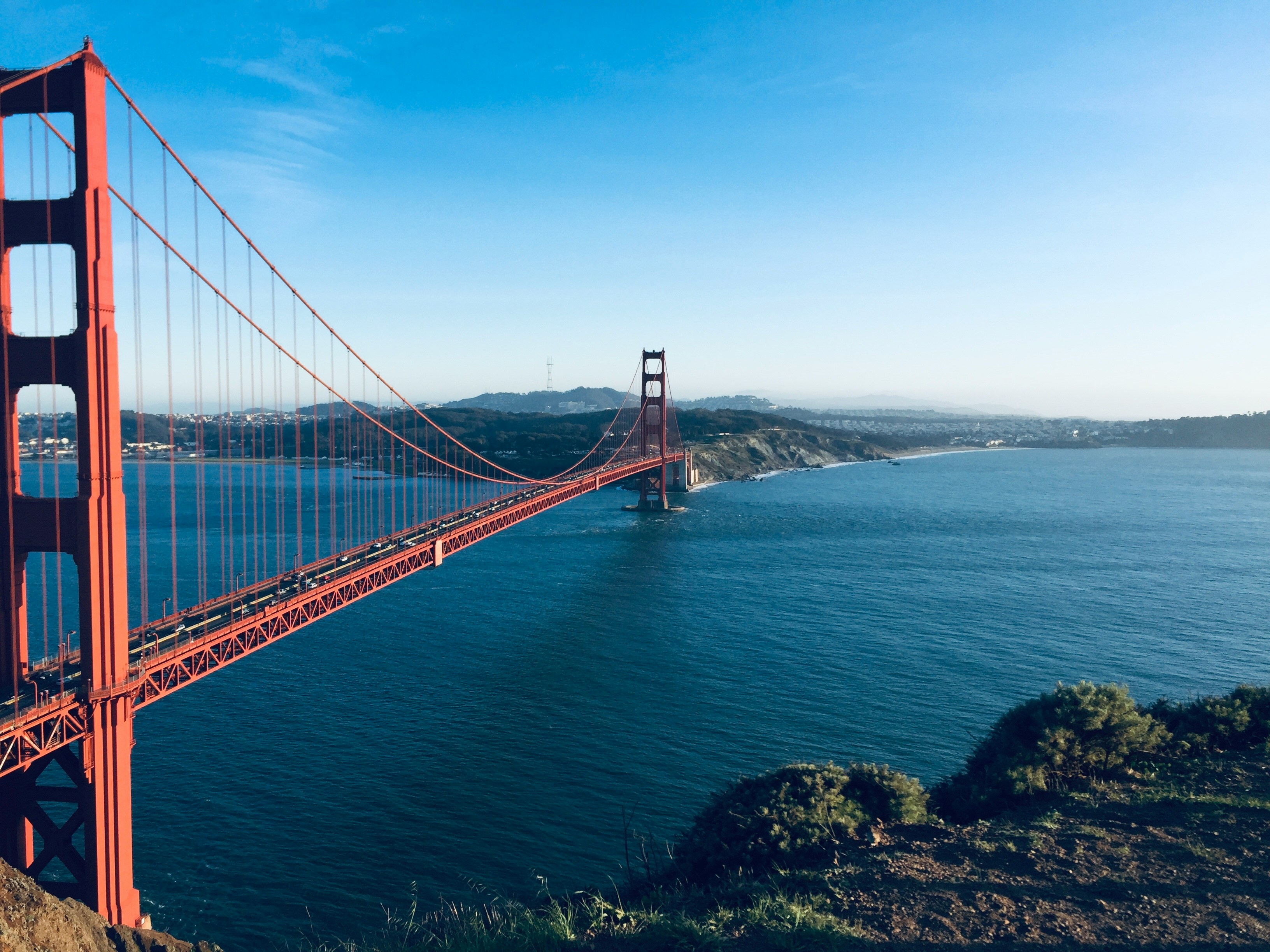 build-a-great-startup-in-2025-with-the-fi-san-francisco-startup-accelerator hero image