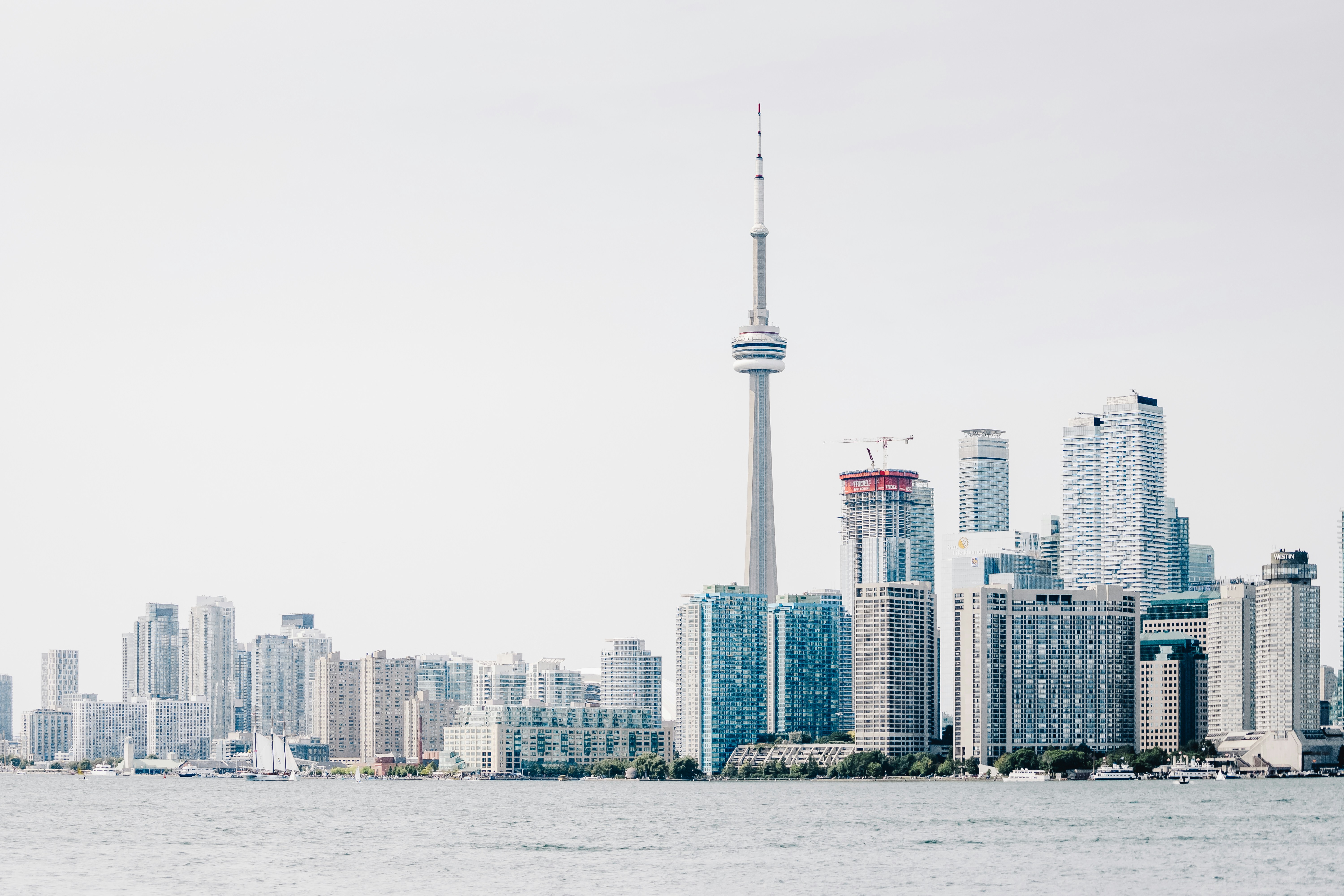 build-a-great-startup-in-2025-with-the-fi-toronto-startup-accelerator hero image