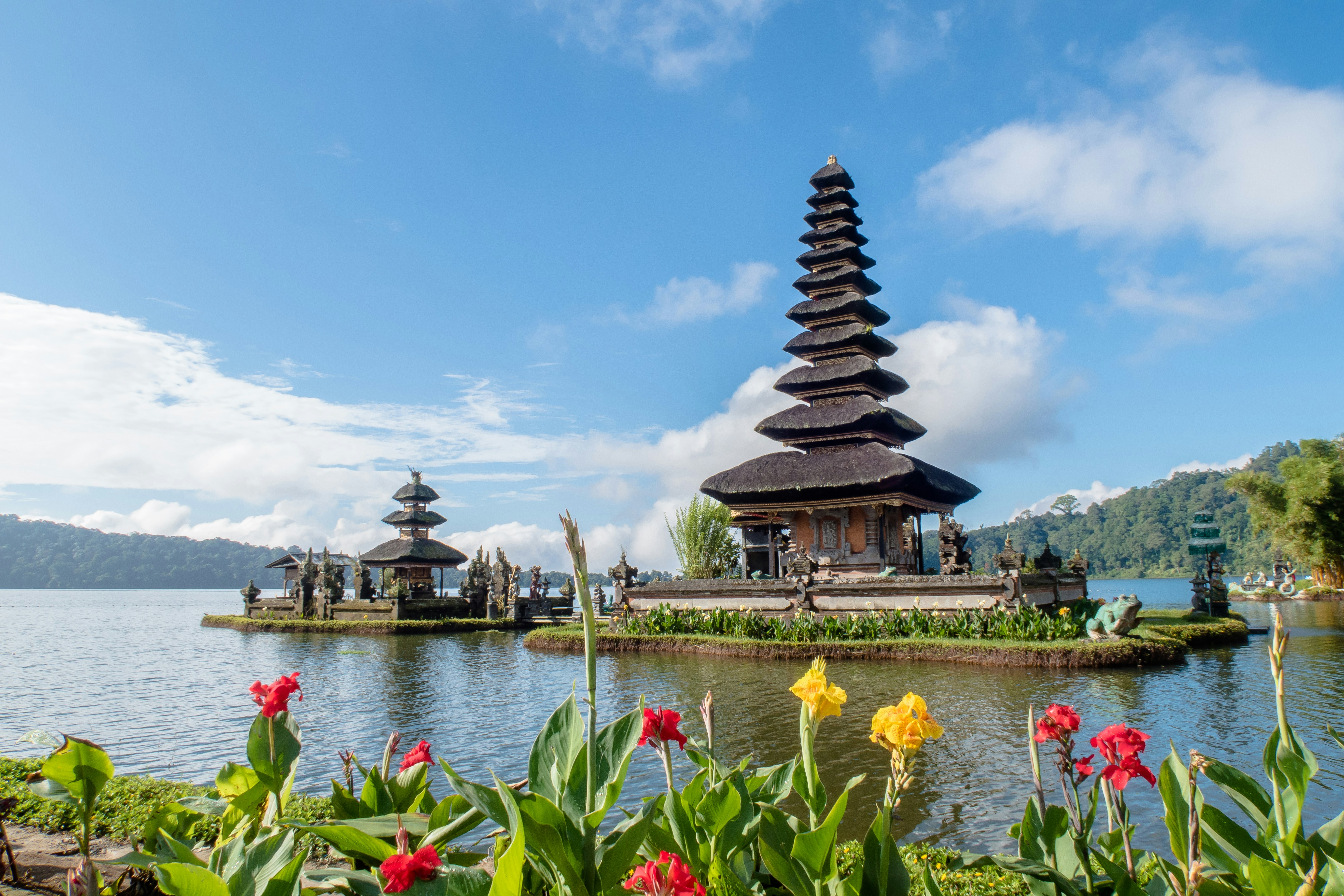 build-a-great-startup-in-2025-with-the-fi-bali-startup-accelerator hero image