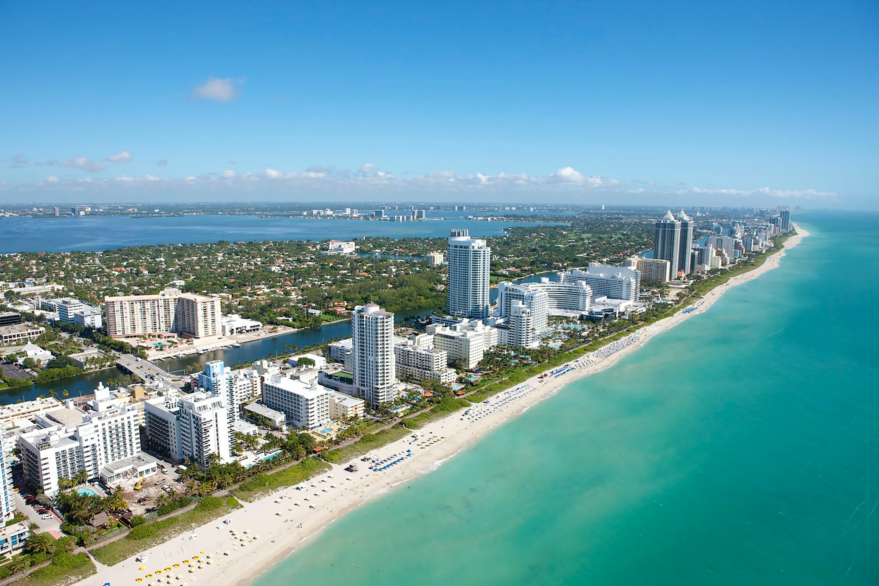 build-a-great-startup-in-2025-with-the-fi-florida-startup-accelerator hero image