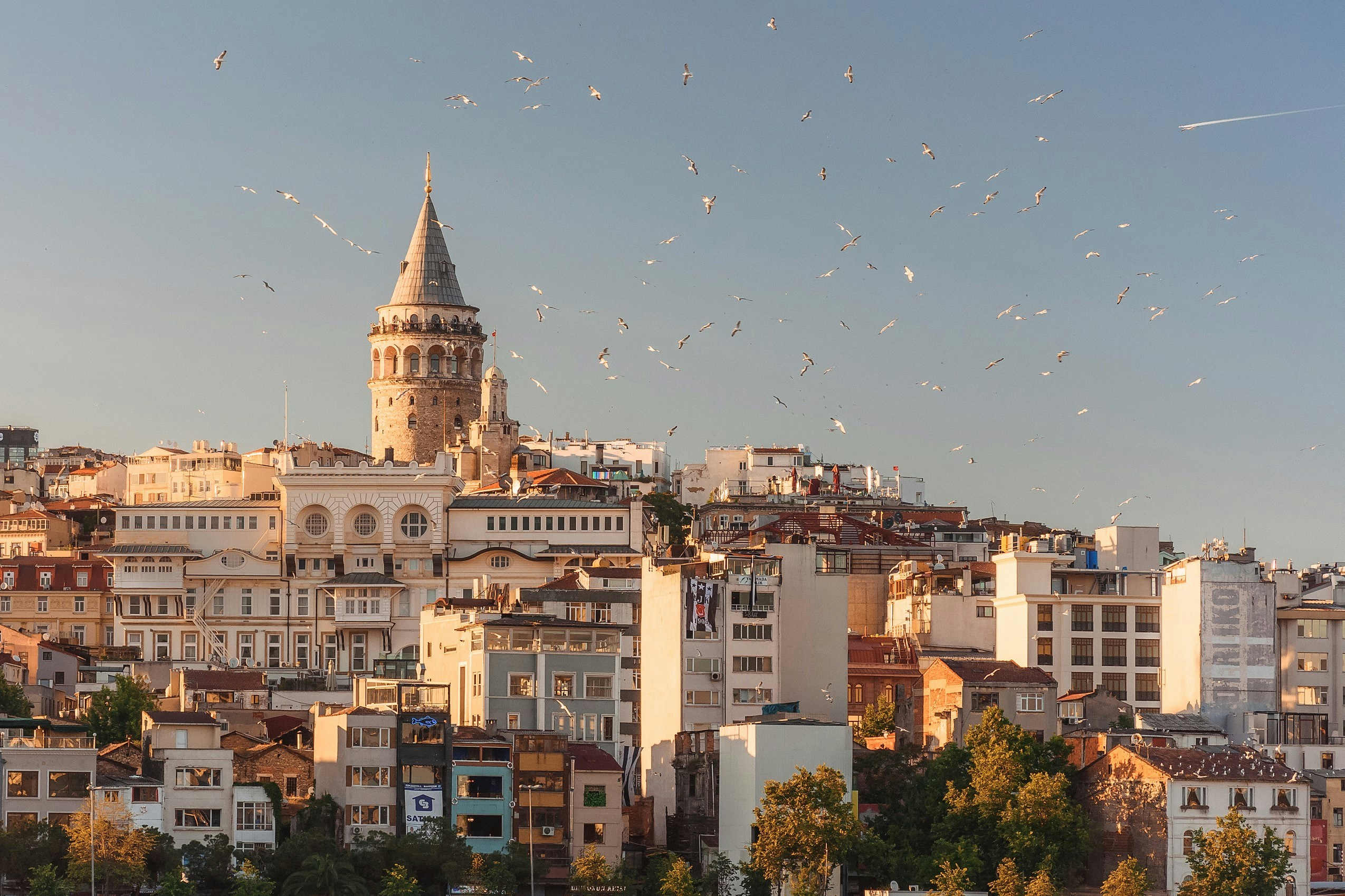 build-a-great-startup-in-2025-with-the-fi-turkey-startup-accelerator hero image
