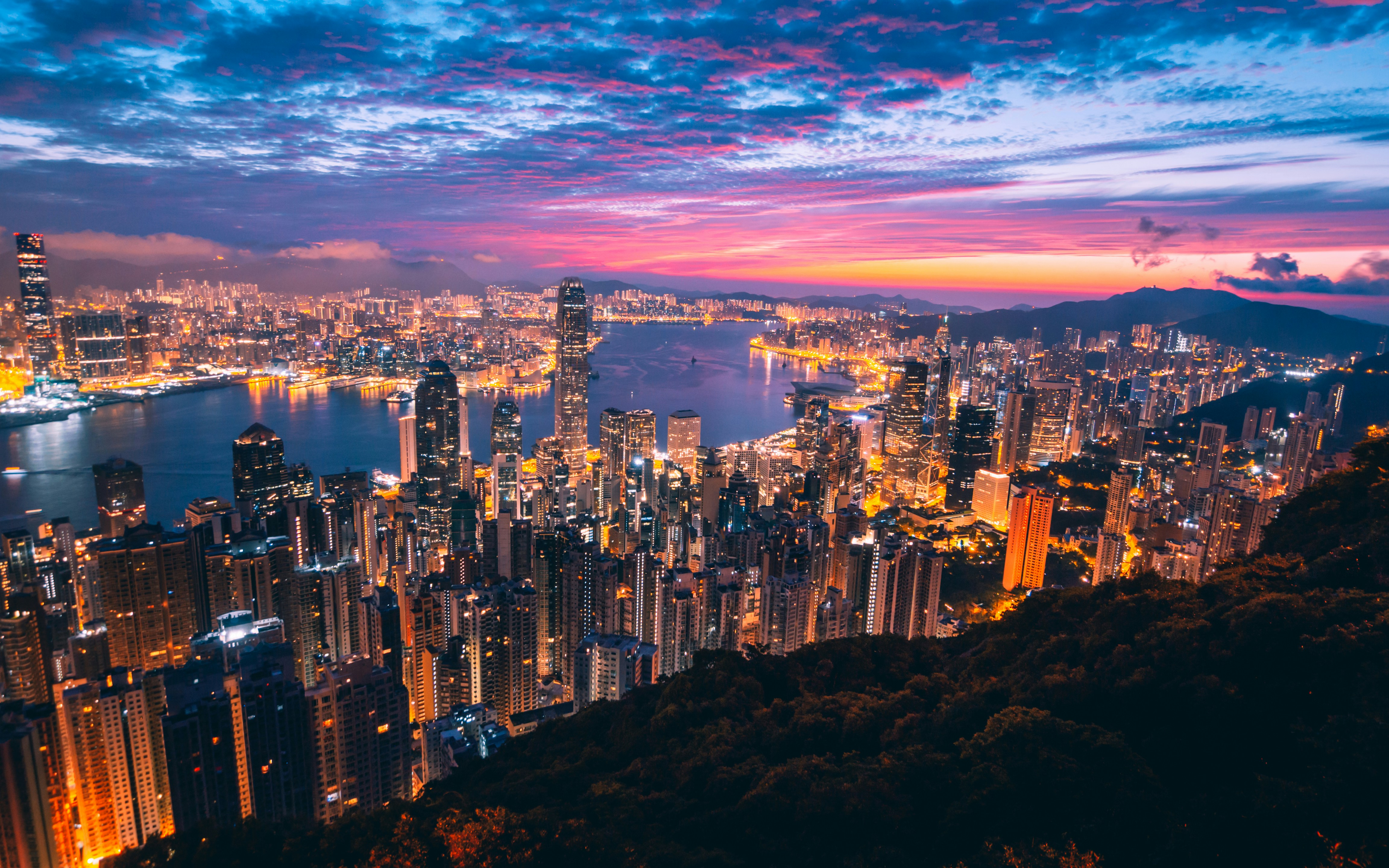 build-a-great-startup-in-2026-with-the-fi-hong-kong-startup-accelerator hero image