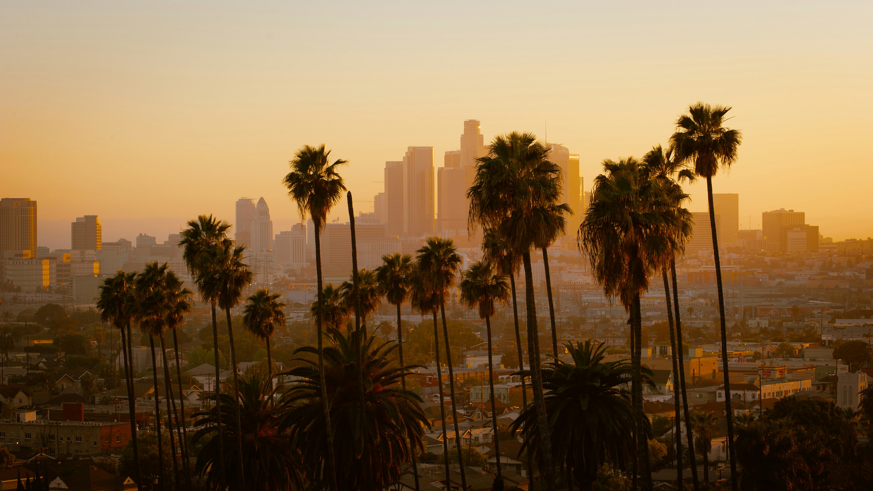 build-a-great-startup-in-2026-with-the-fi-los-angeles-startup-accelerator hero image