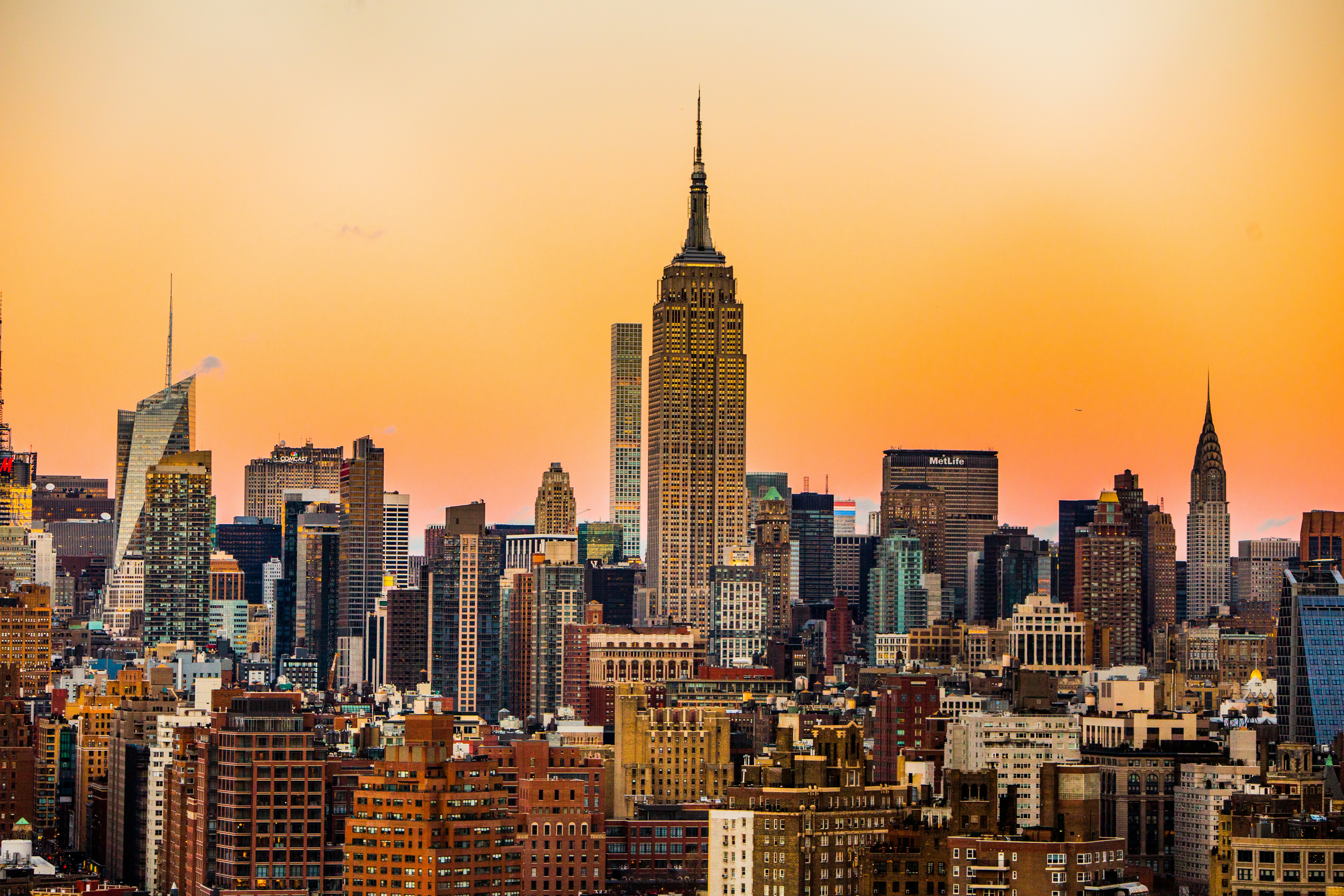 build-a-great-startup-in-2026-with-the-fi-new-york-startup-accelerator hero image