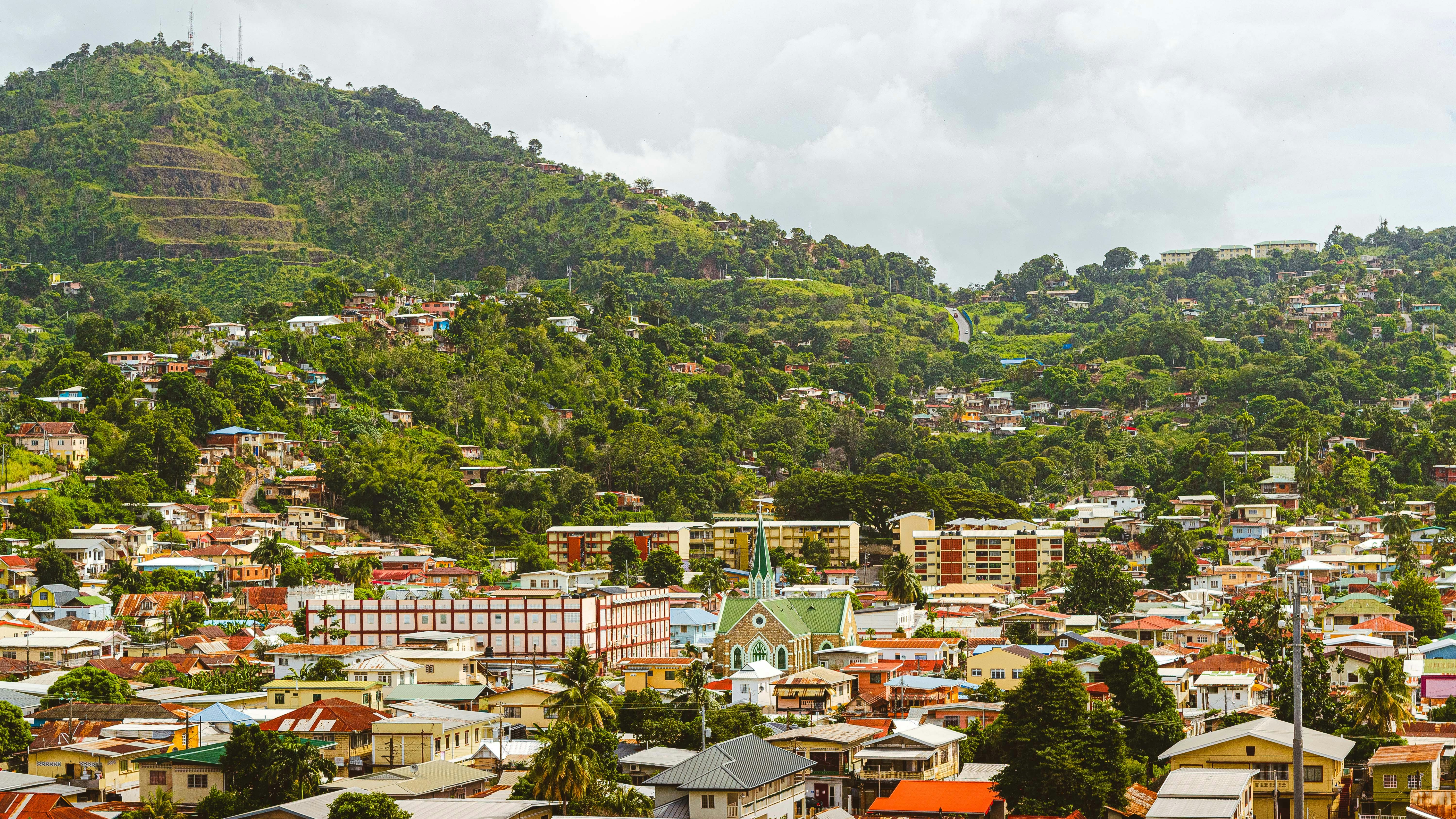 build-a-great-startup-in-2026-with-the-fi-caribbean-startup-accelerator hero image