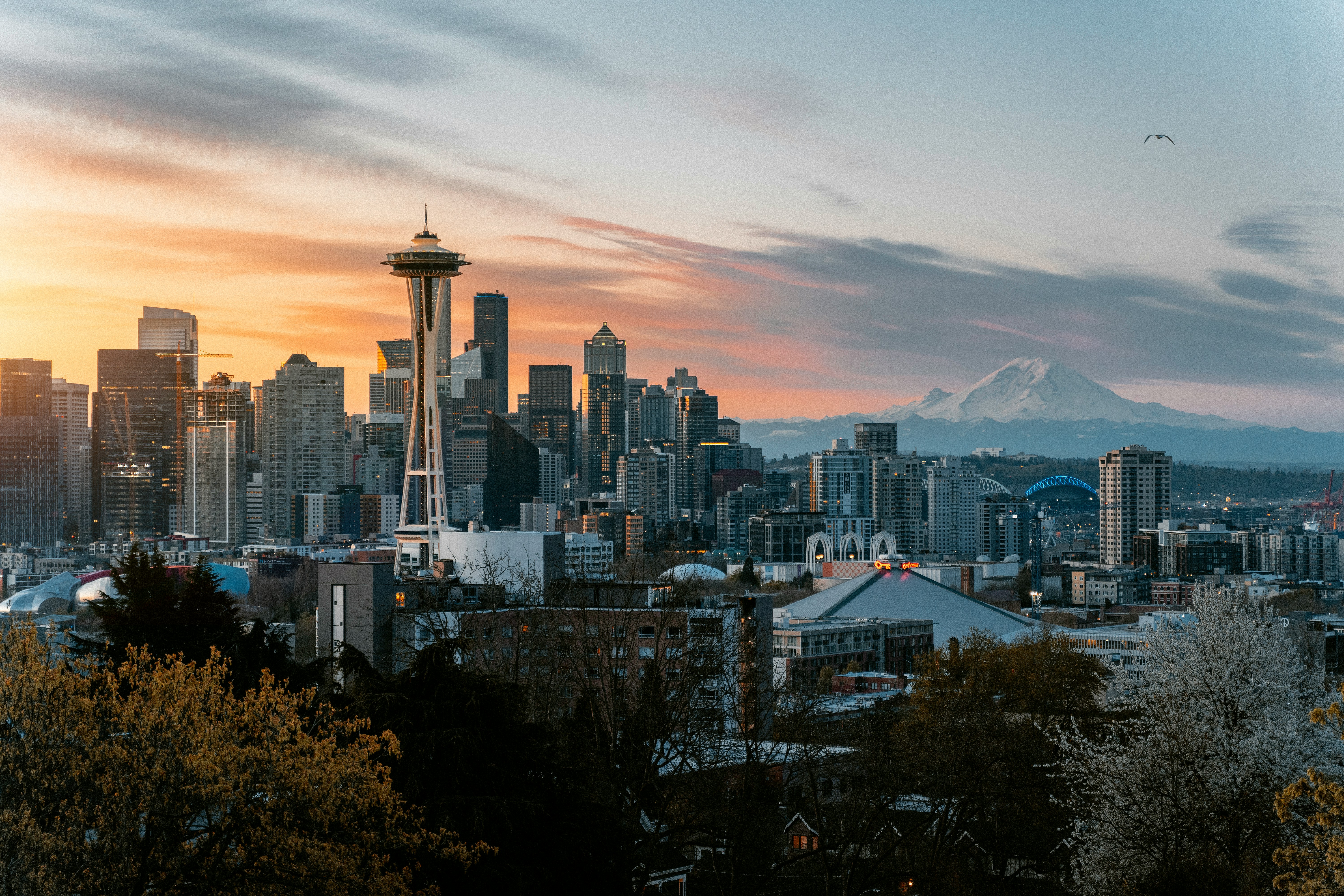 build-a-great-startup-in-2026-with-the-fi-seattle-startup-accelerator-seattle hero image