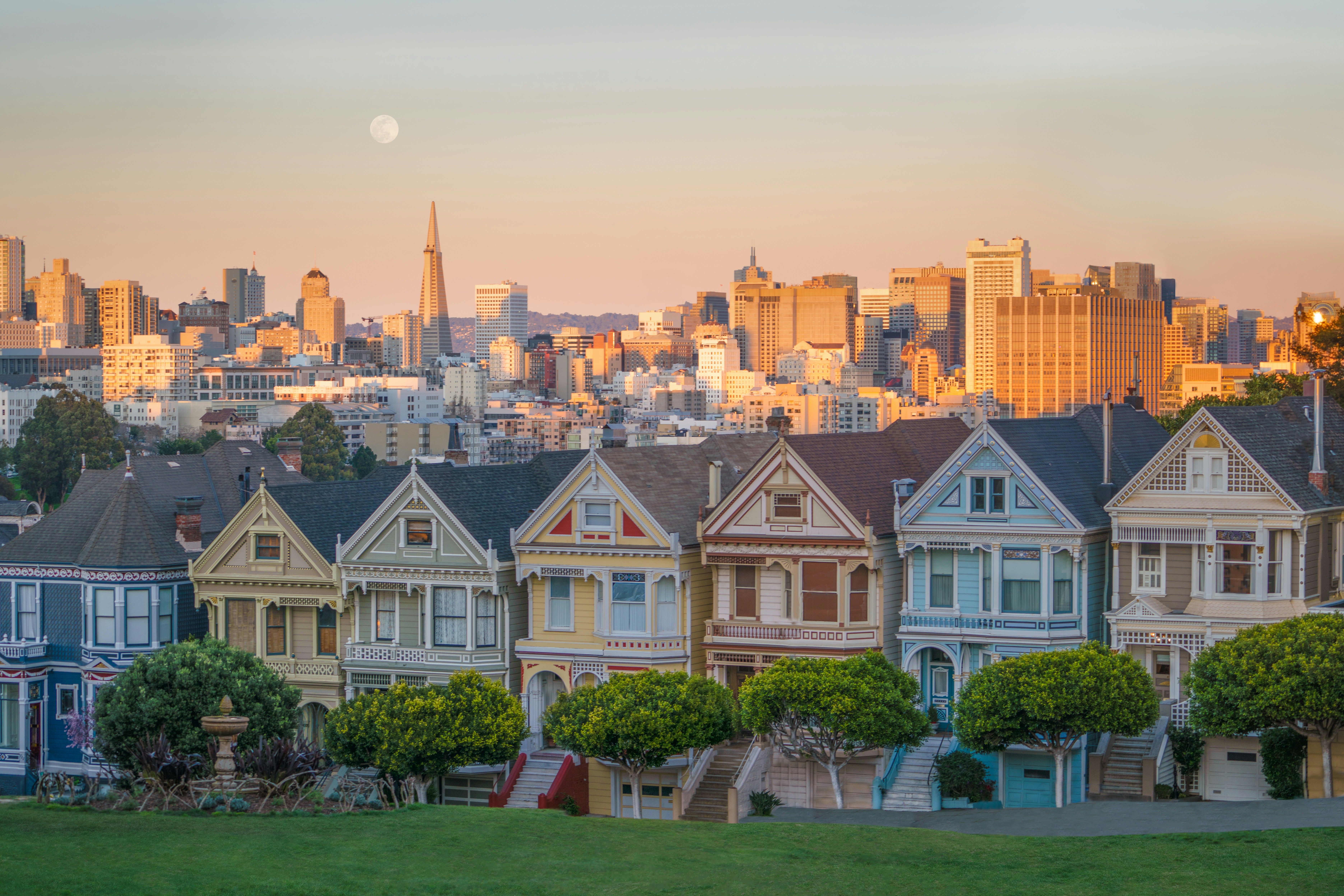 build-a-great-startup-in-2026-with-the-fi-san-francisco-startup-accelerator-san-francisco hero image