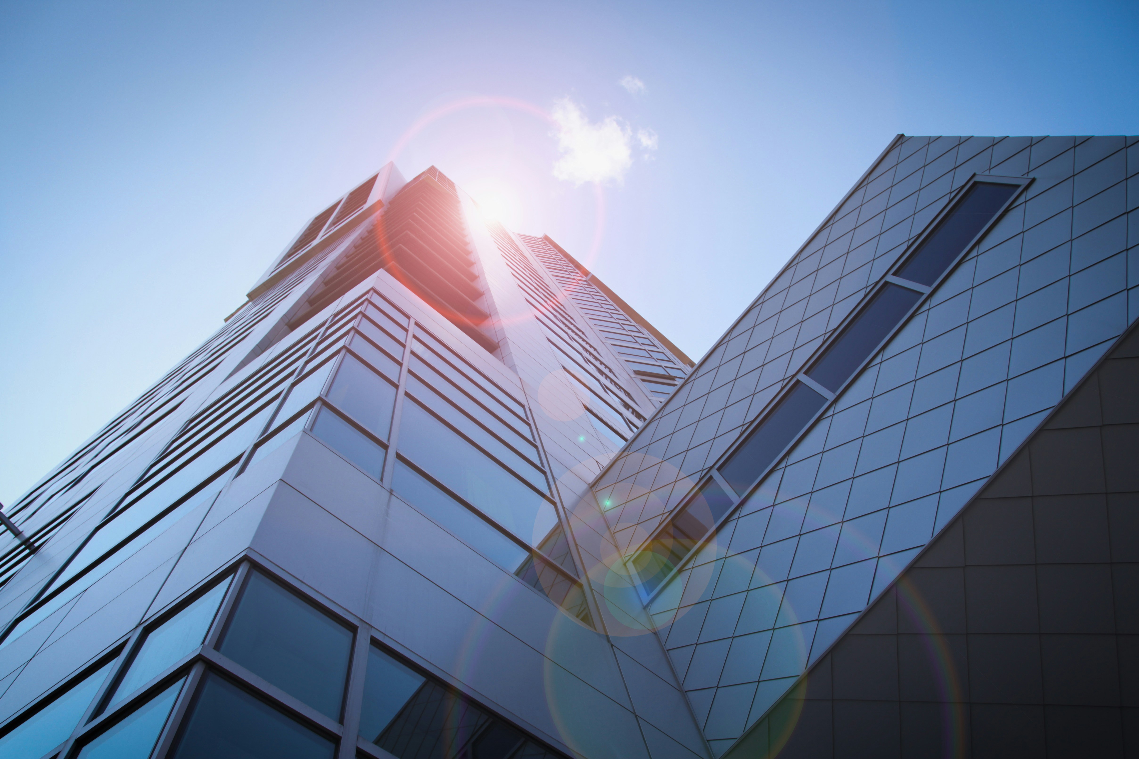 Economic Development Organizations: How EDOs Build Local Startup Ecosystems