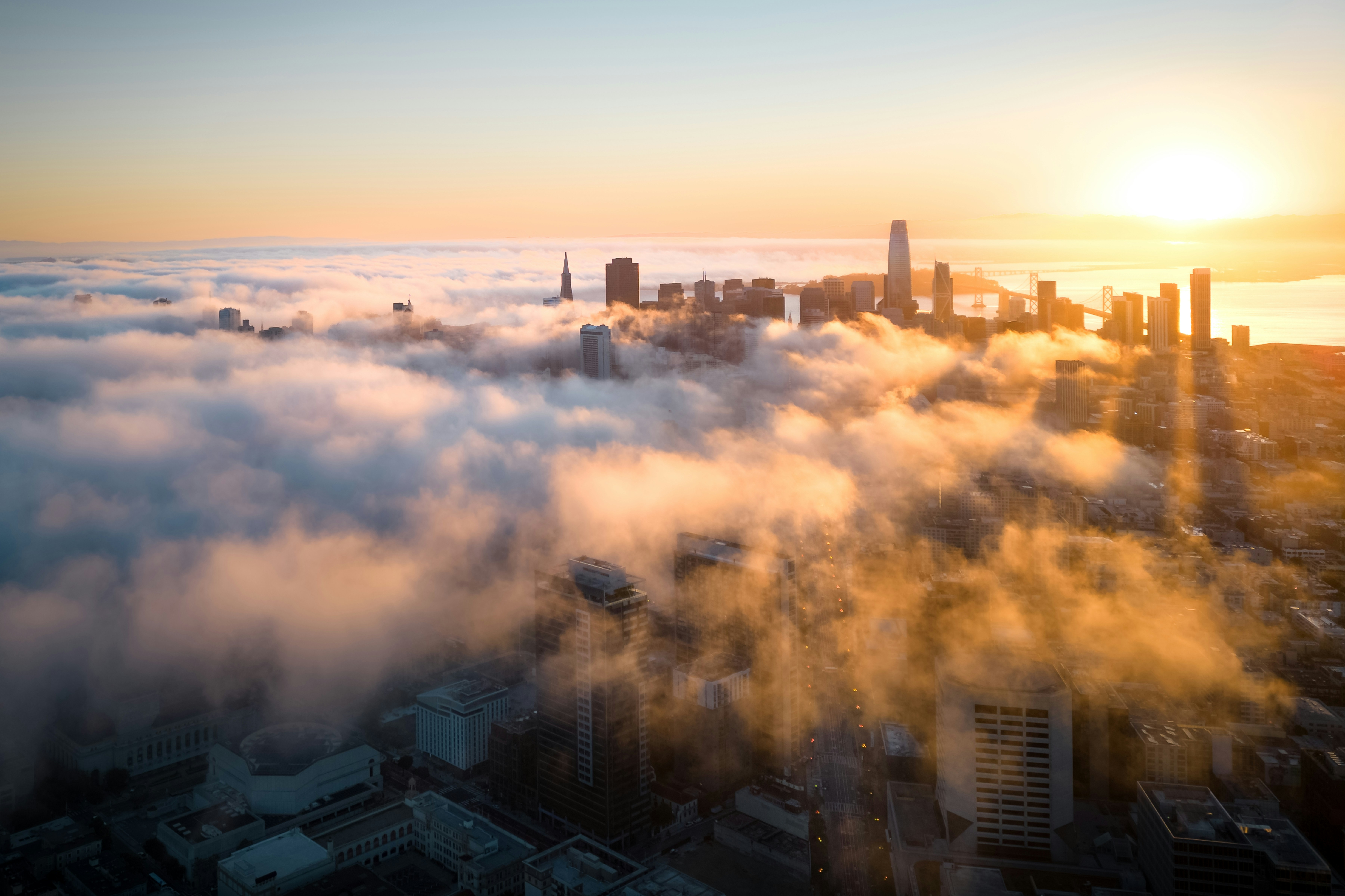what-investors-in-silicon-valley-are-really-looking-for-in-2026 hero image