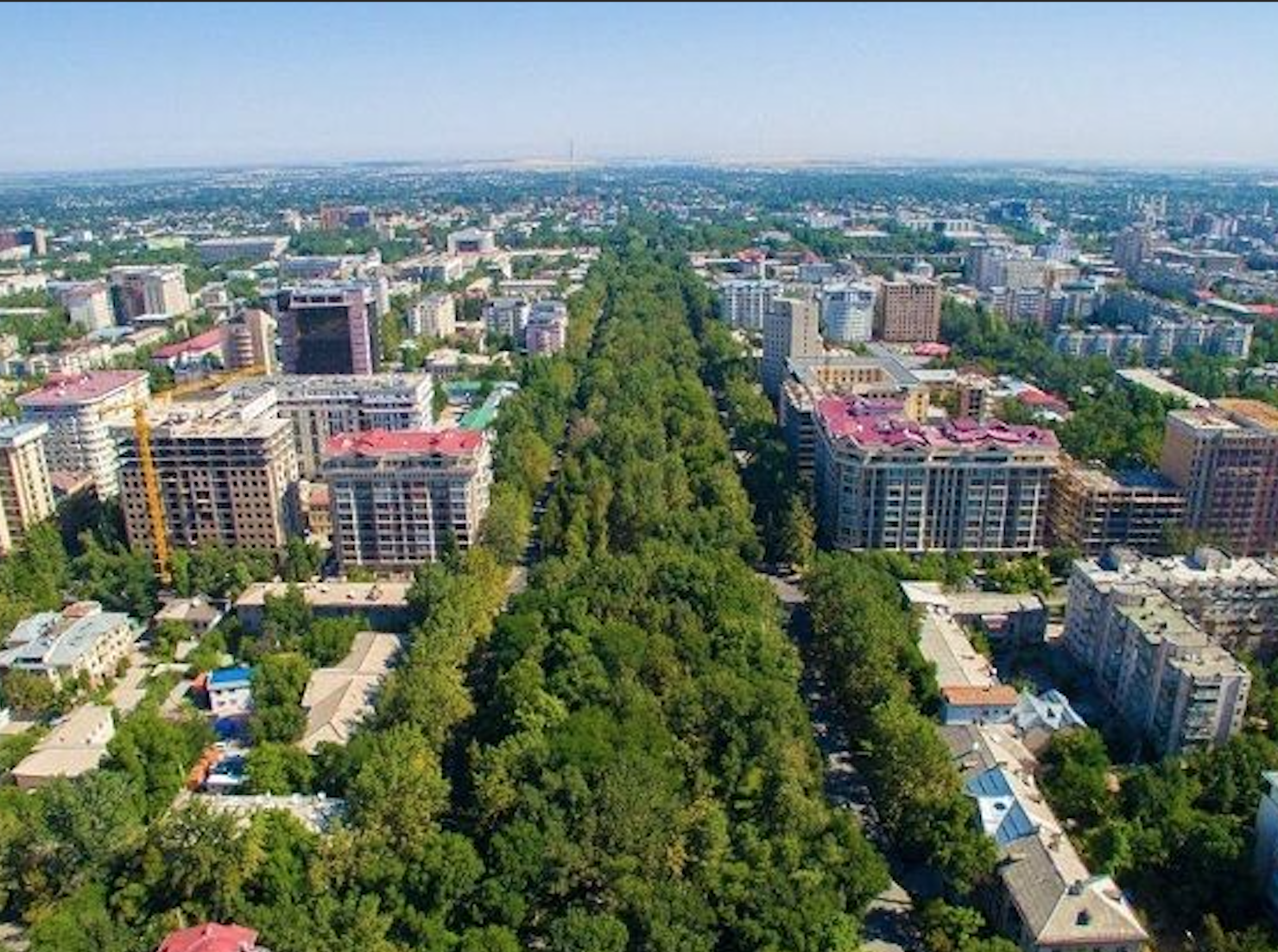 first-ever-founder-institute-kyrgyzstan-virtual-2021-accelerator-applications-open-let-s-rebuild-in-2021 hero image