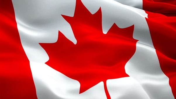 canadians-of-color-startup-resource-list-289-accelerators-incubators-investors-and-more hero image