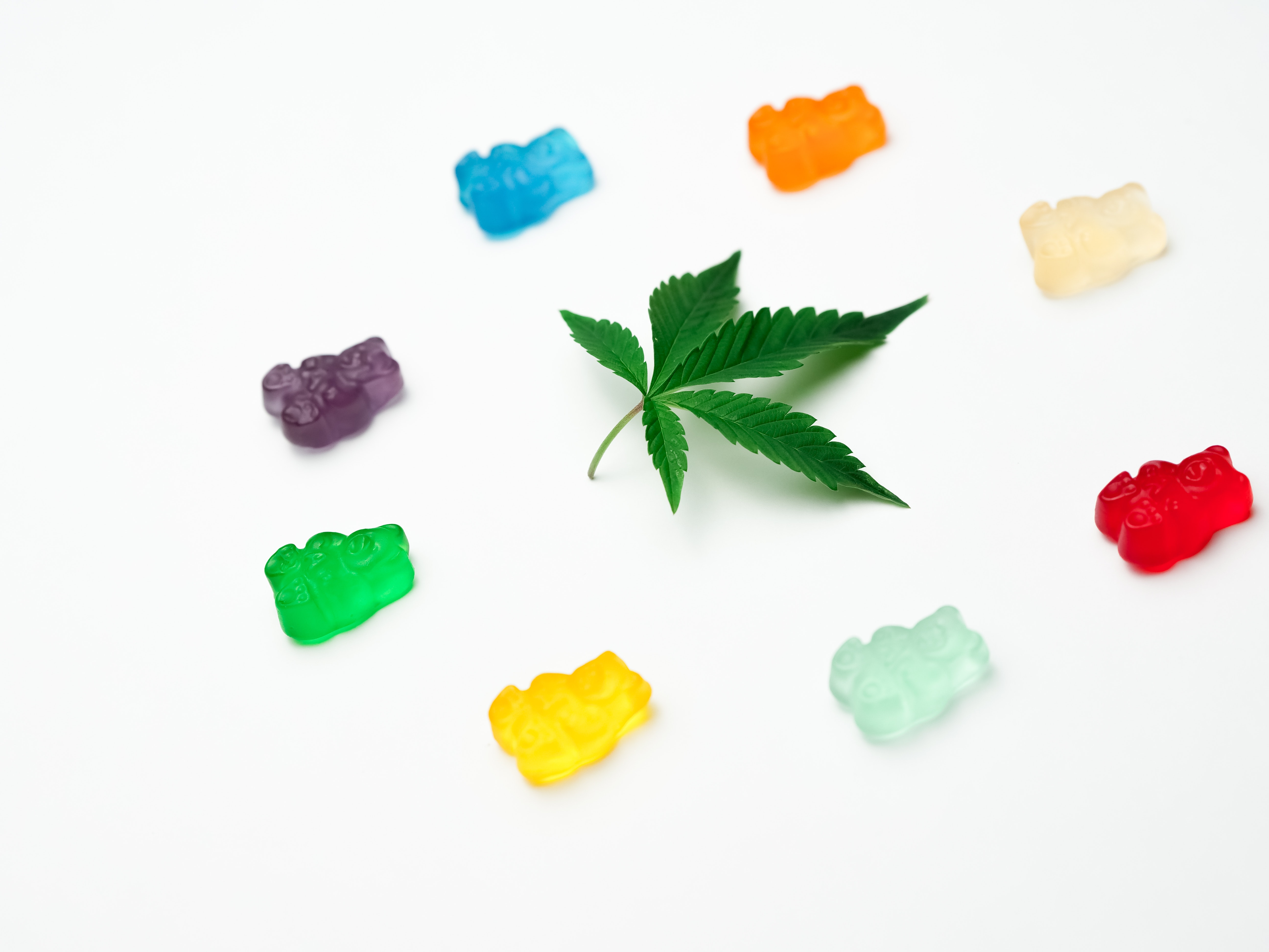 cannabis-startup-success-stories-2021 hero image