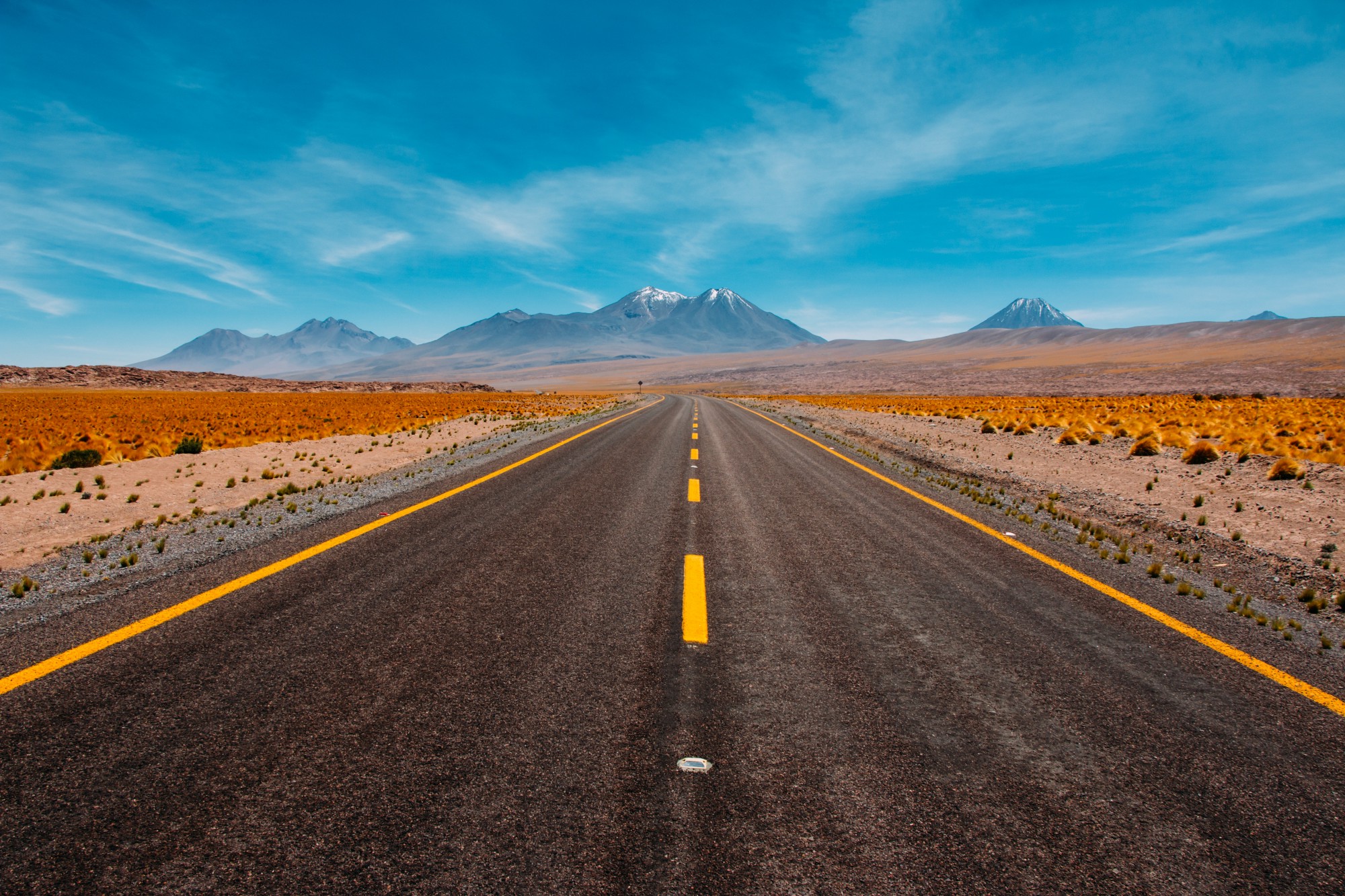 planning-for-technology-continuity-in-your-startup hero image