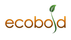 founder-feedback-ecobold-s-startup-lessons-learned hero image