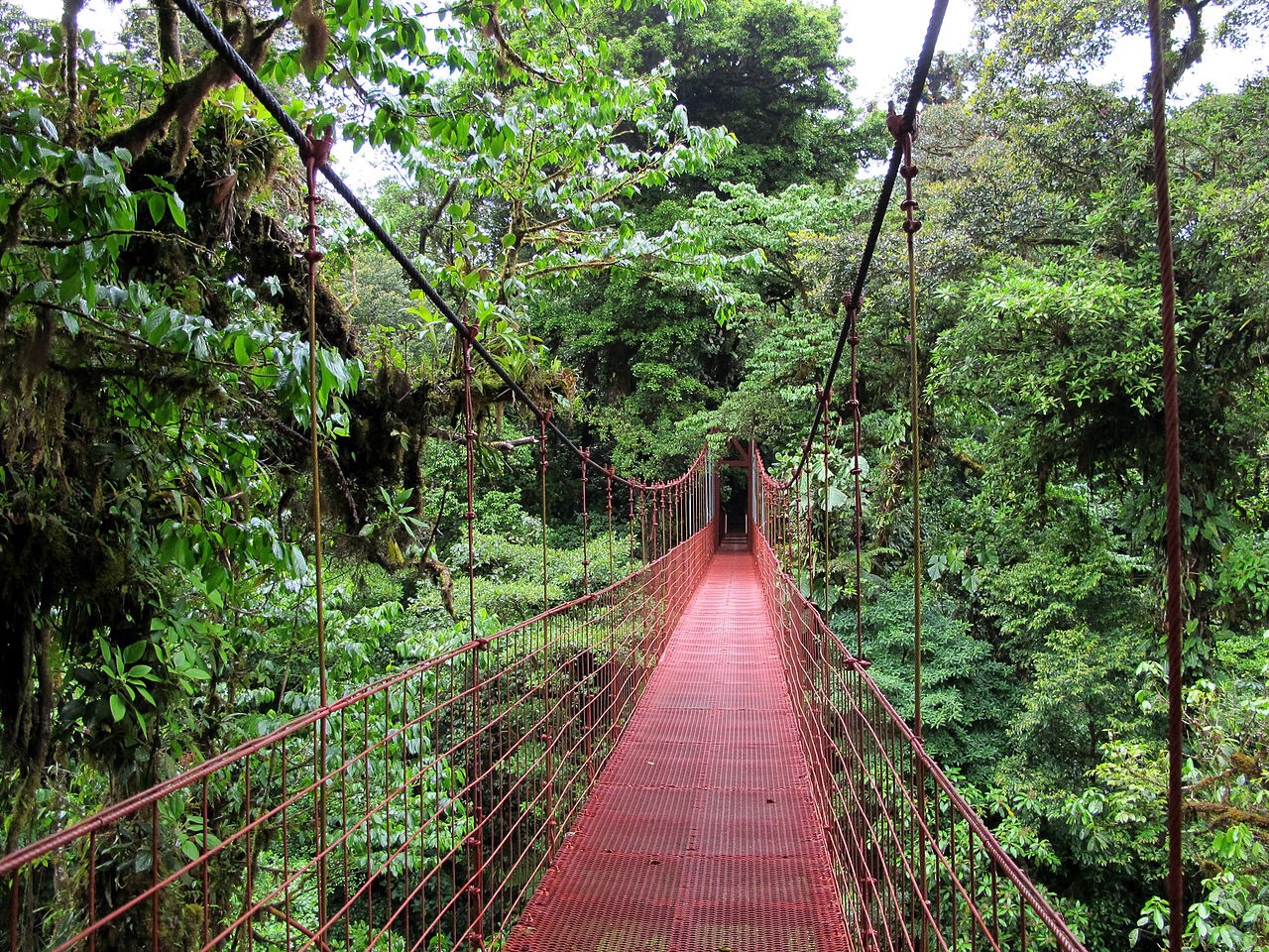 my-startup-community-journey-boston-costa-rica-boston hero image