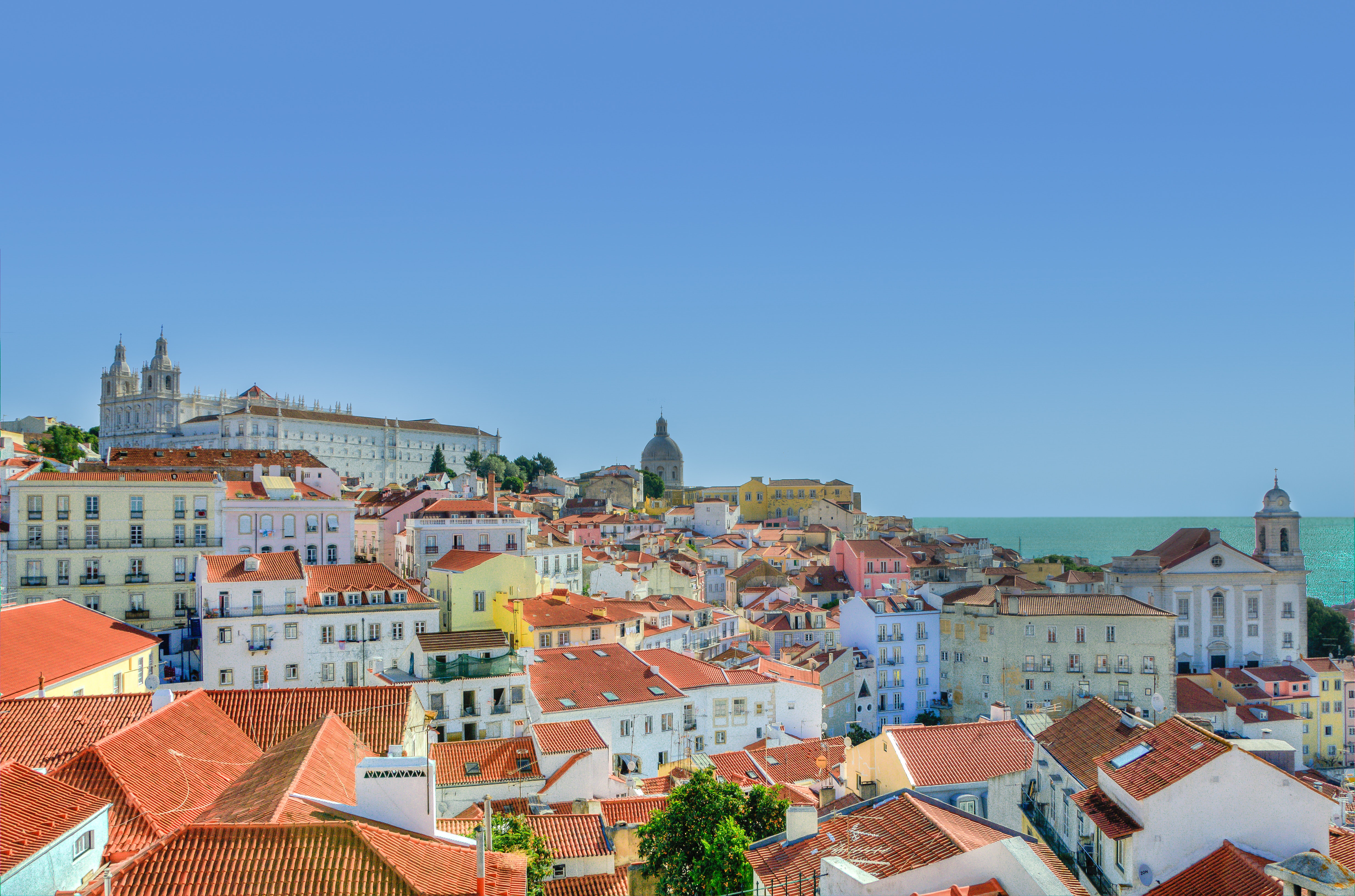 build-a-great-startup-in-2020-with-the-founder-institute-lisbon-startup-accelerator hero image