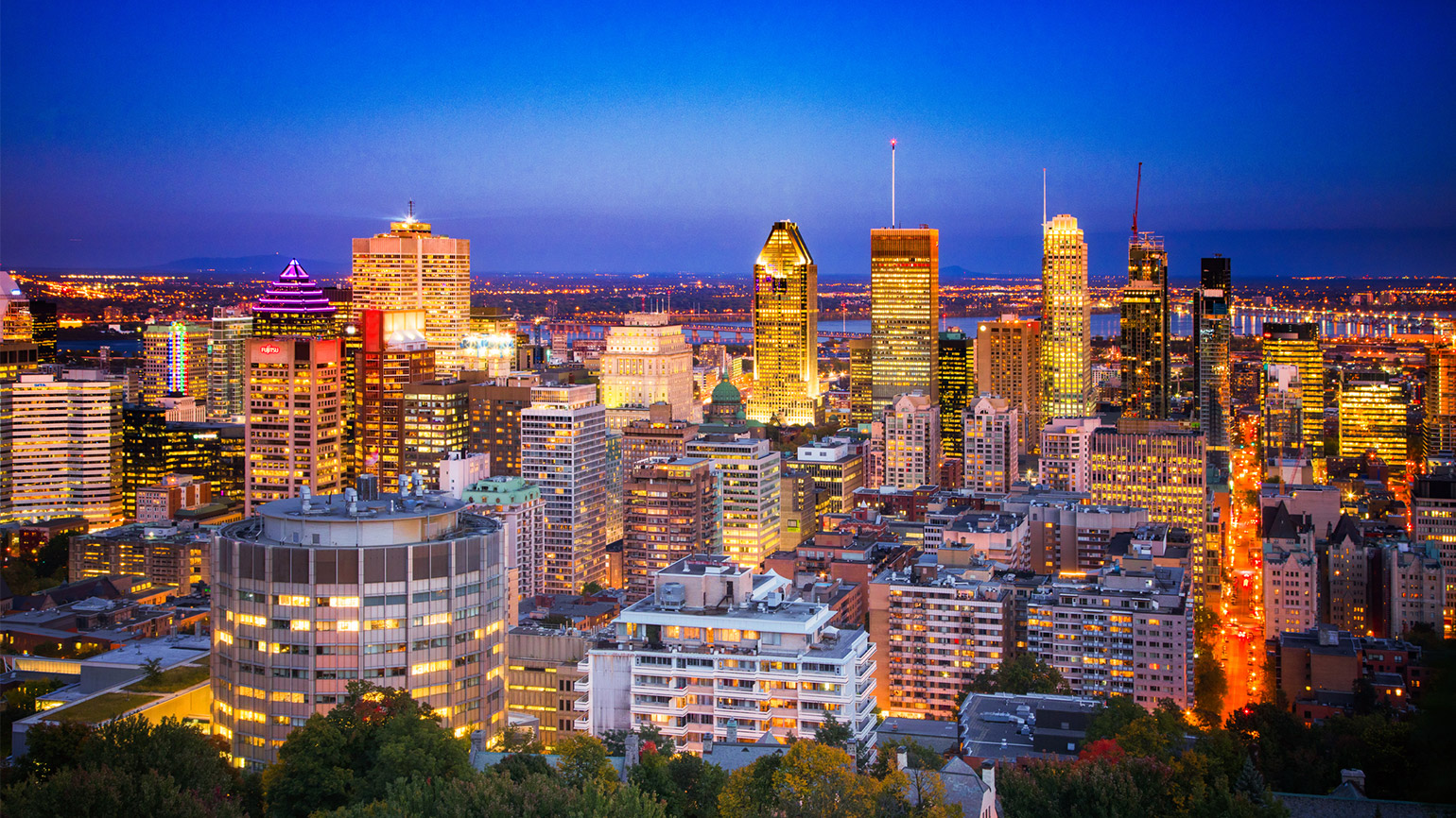 founder-institute-canadian-expansion-featured-on-techvibes hero image
