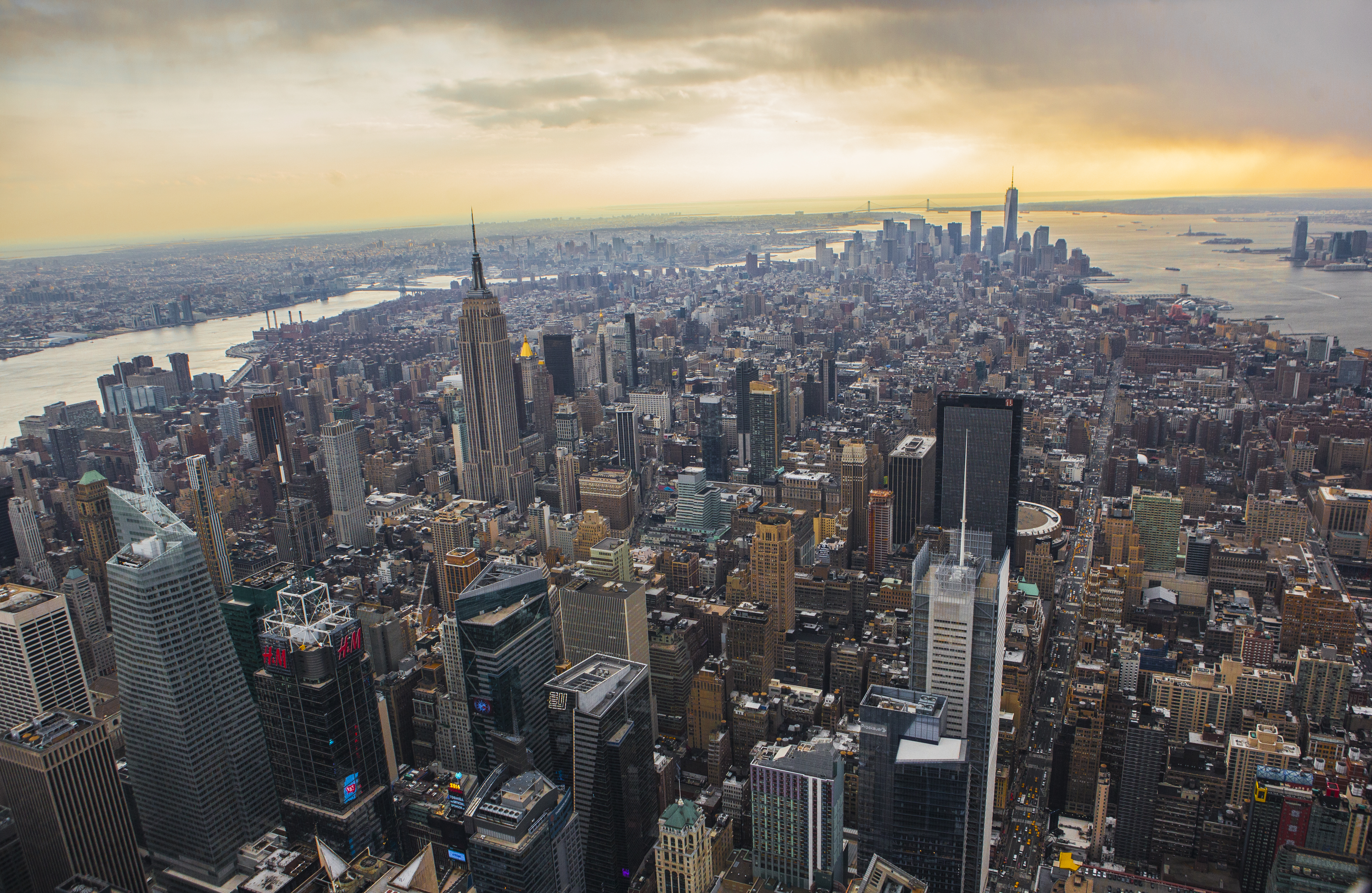 founder-institute-new-york-virtual-2021-produces-new-tech-companies hero image