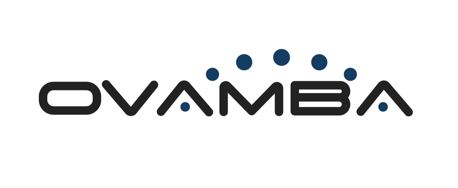 johannesburg-startup-ovamba-partners-with-microsoft-to-help-african-smes-bridge-the-language-barrier hero image