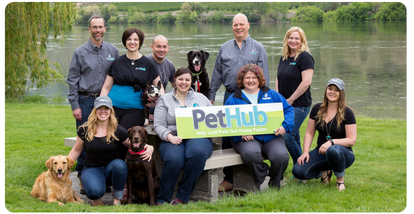 pethub-helps-owners-to-quickly-reunite-with-their-lost-loved-ones hero image