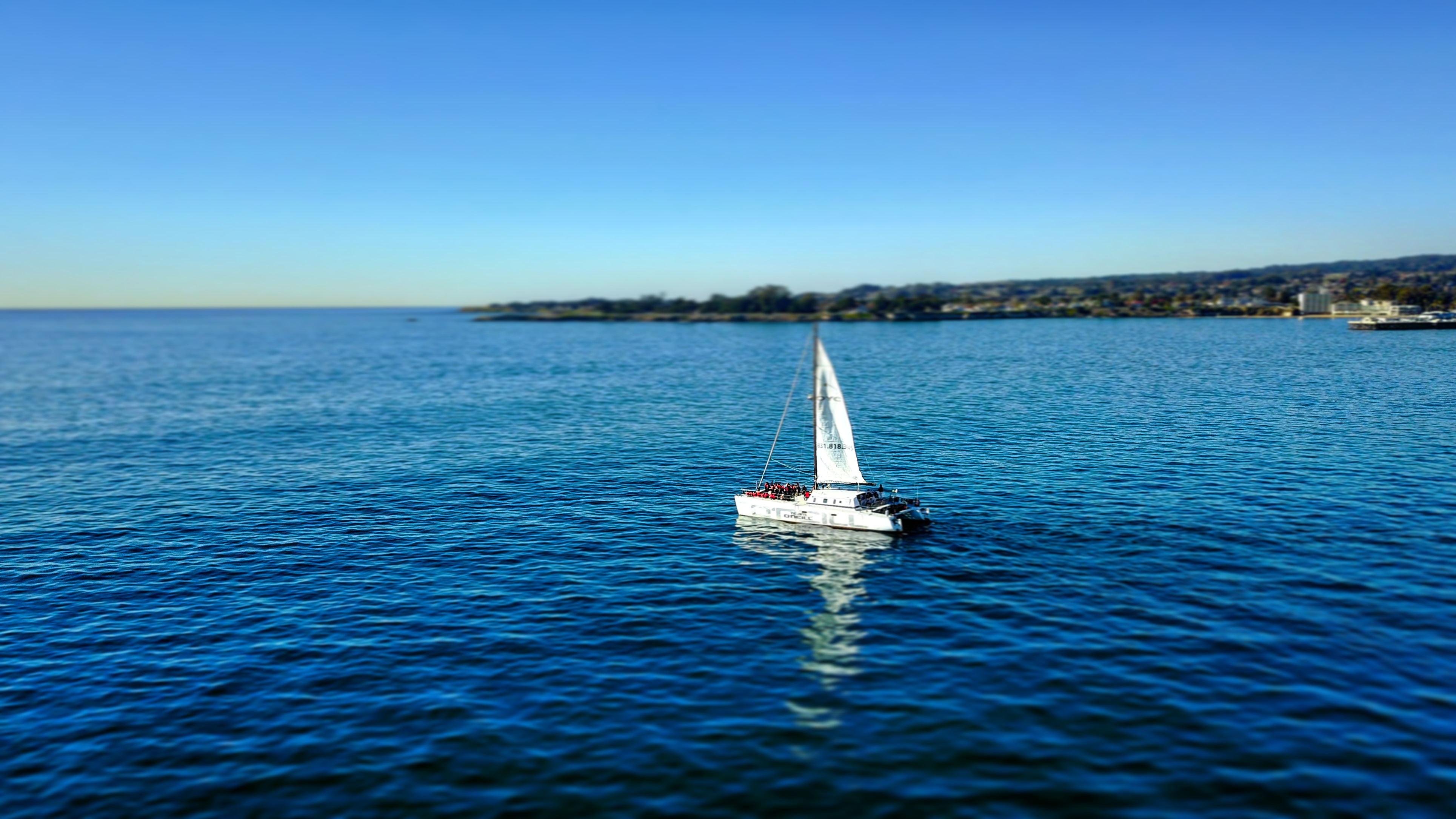 first-ever-founder-institute-santa-cruz-accelerator-applications-open-let-s-rebuild-in-2021 hero image