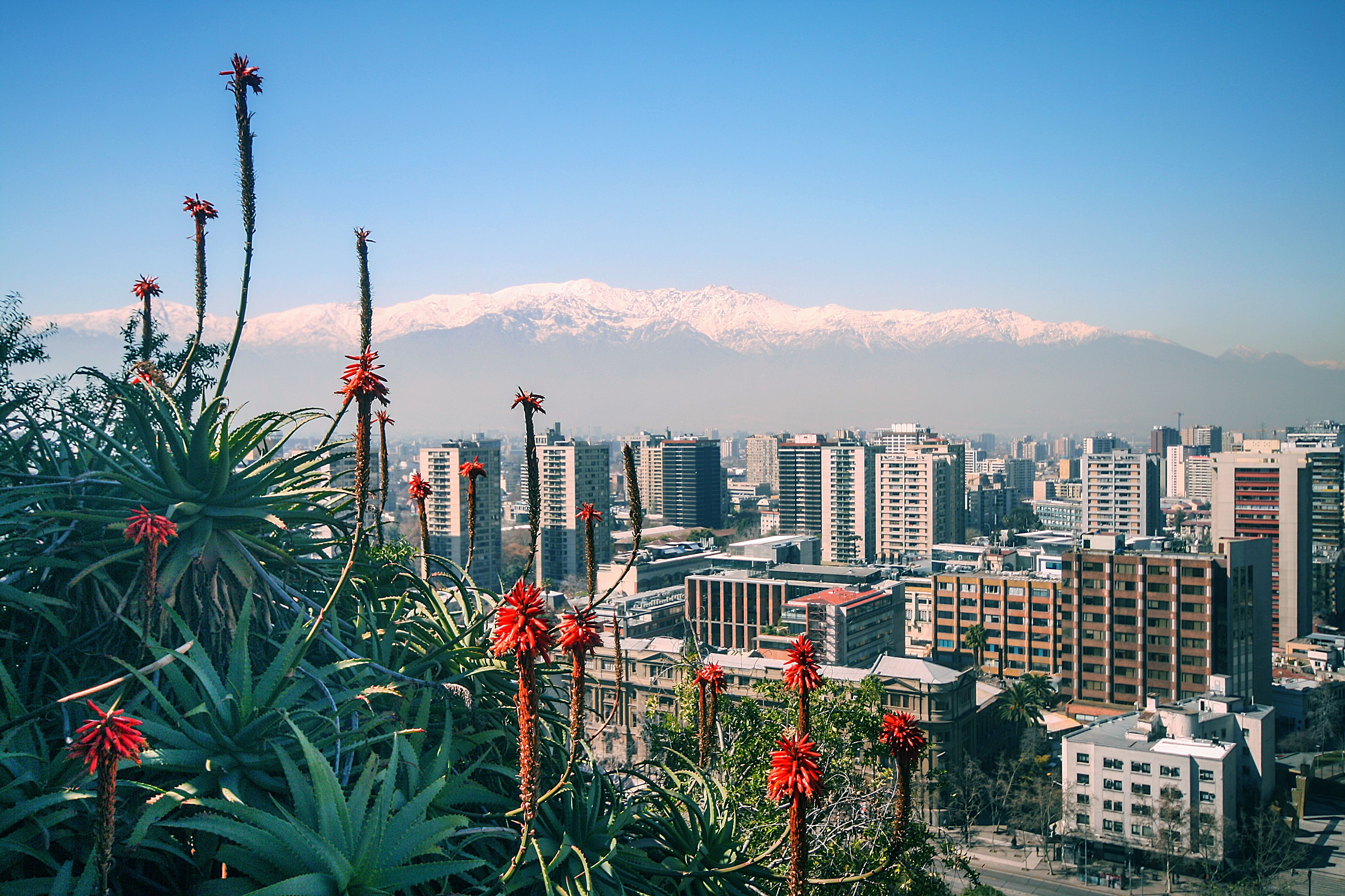 chile-startup-resource-list-250-accelerators-incubators-investors-and-more hero image