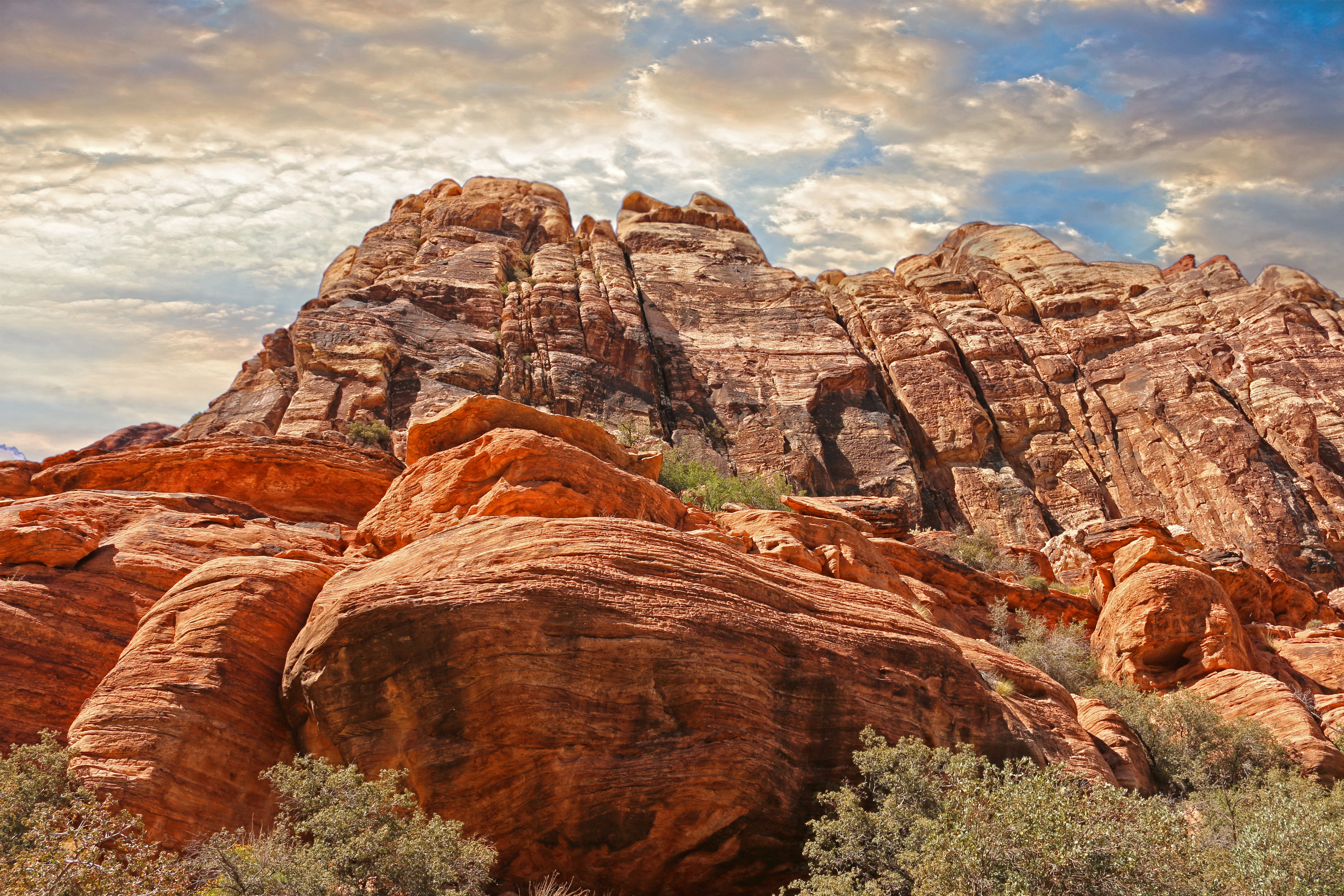 first-ever-founder-institute-southwest-accelerator-applications-open hero image