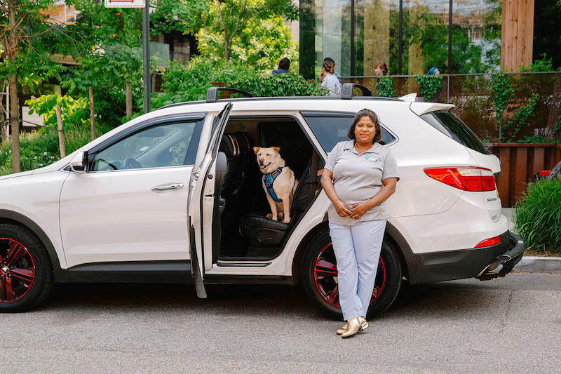 spoton-offers-ride-sharing-for-pets-and-people hero image