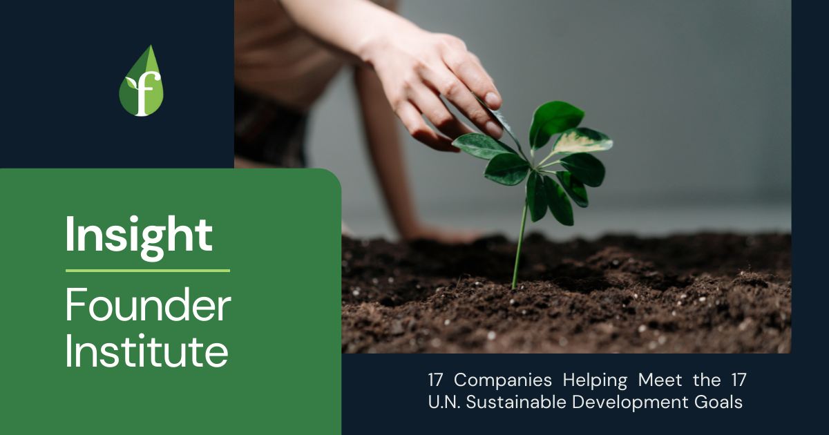 17-companies-helping-meet-the-17-un-sustainable-development-goals hero image