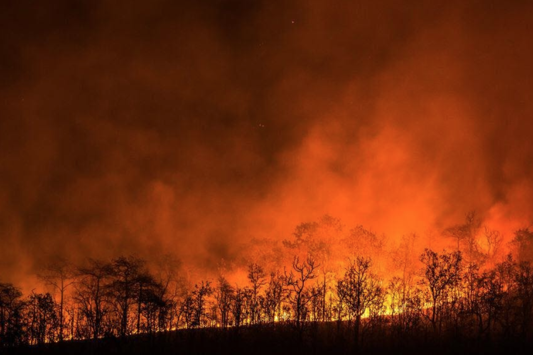 firenado-is-the-opening-bell-of-a-new-era hero image