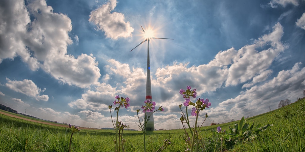 how-to-find-impact-investors-for-sustainable-startups hero image