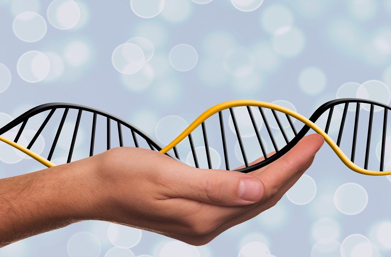 entrepreneur-dna-does-it-exist hero image