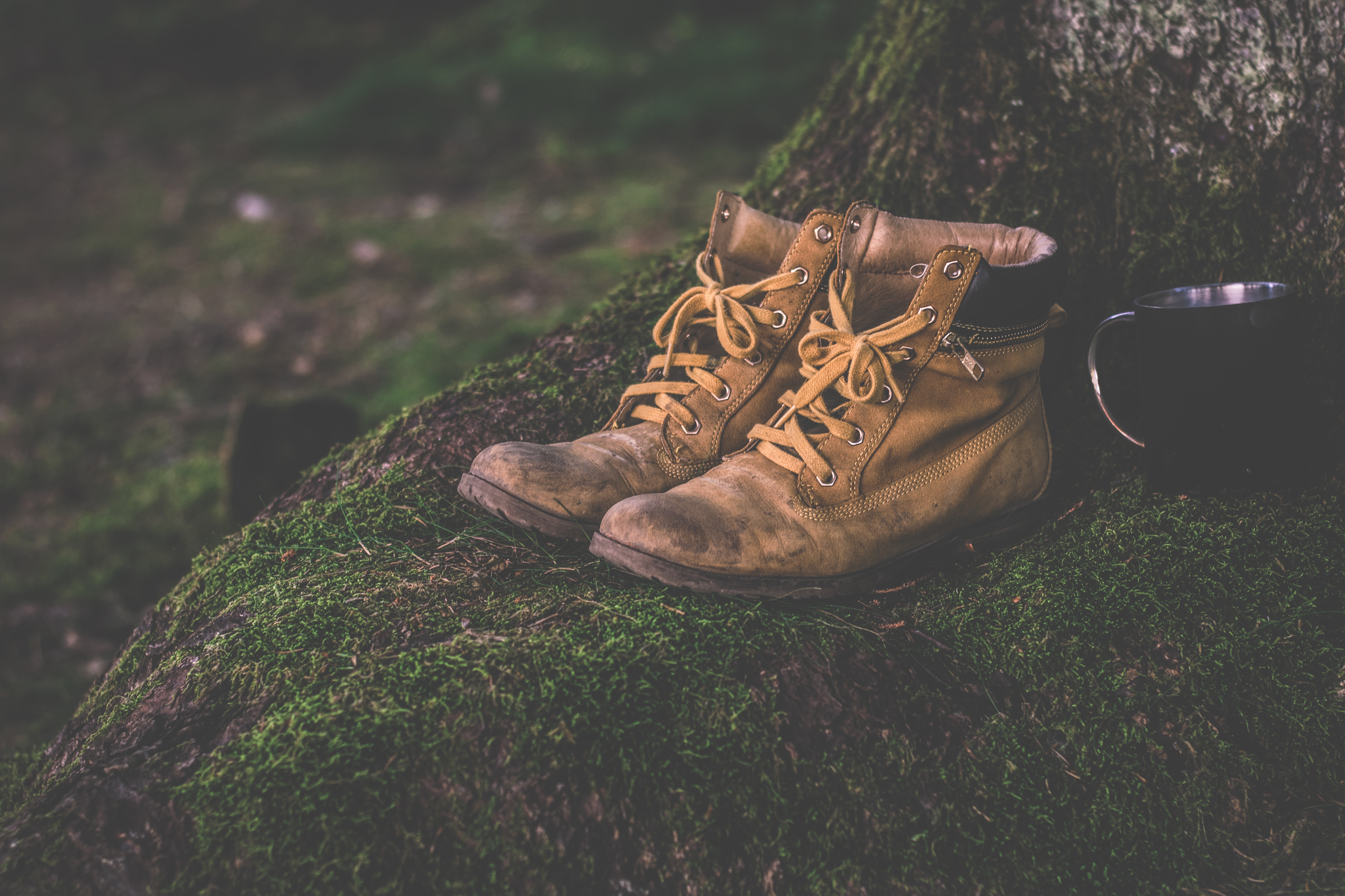 the-startup-glossary-bootstrapping-and-fundraising hero image