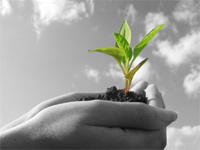 how-to-choose-the-right-incubator-for-your-startup-video hero image