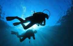 five-lessons-from-scuba-diving-on-how-to-survive-a-startup hero image