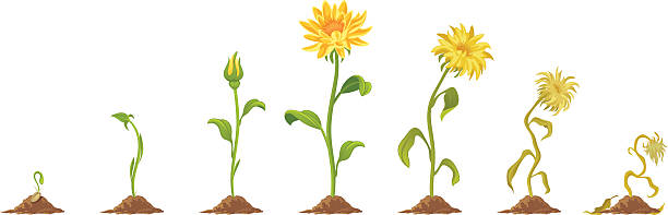 38211--how-not-just-why-startups-fail hero image