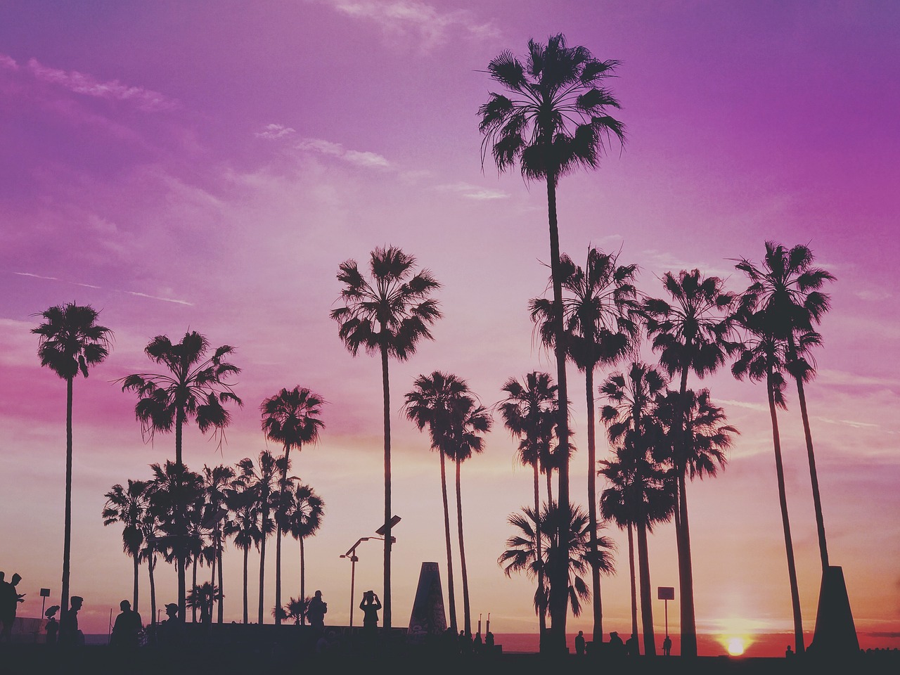 fi-graduates-in-socal-are-building-some-of-the-country-s-fastest-growing-startups hero image