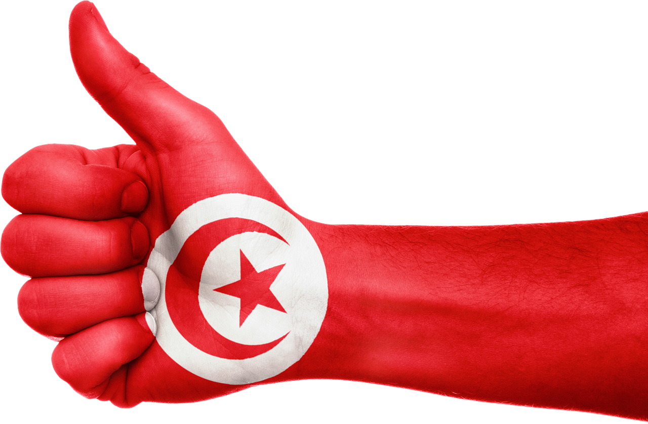 tunisian-entrepreneurs-need-to-step-up-and-lead-the-charge hero image