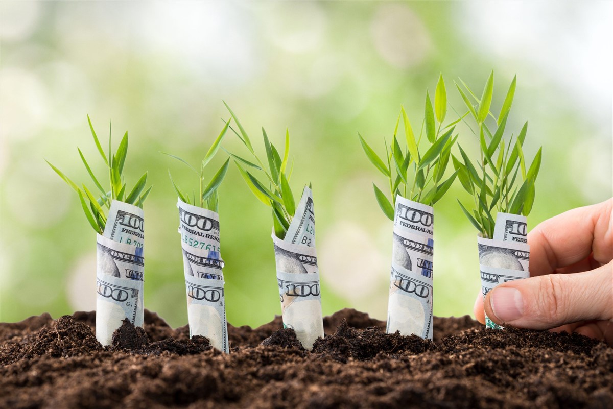 family-offices-are-untapped-resources-for-startup-funding hero image