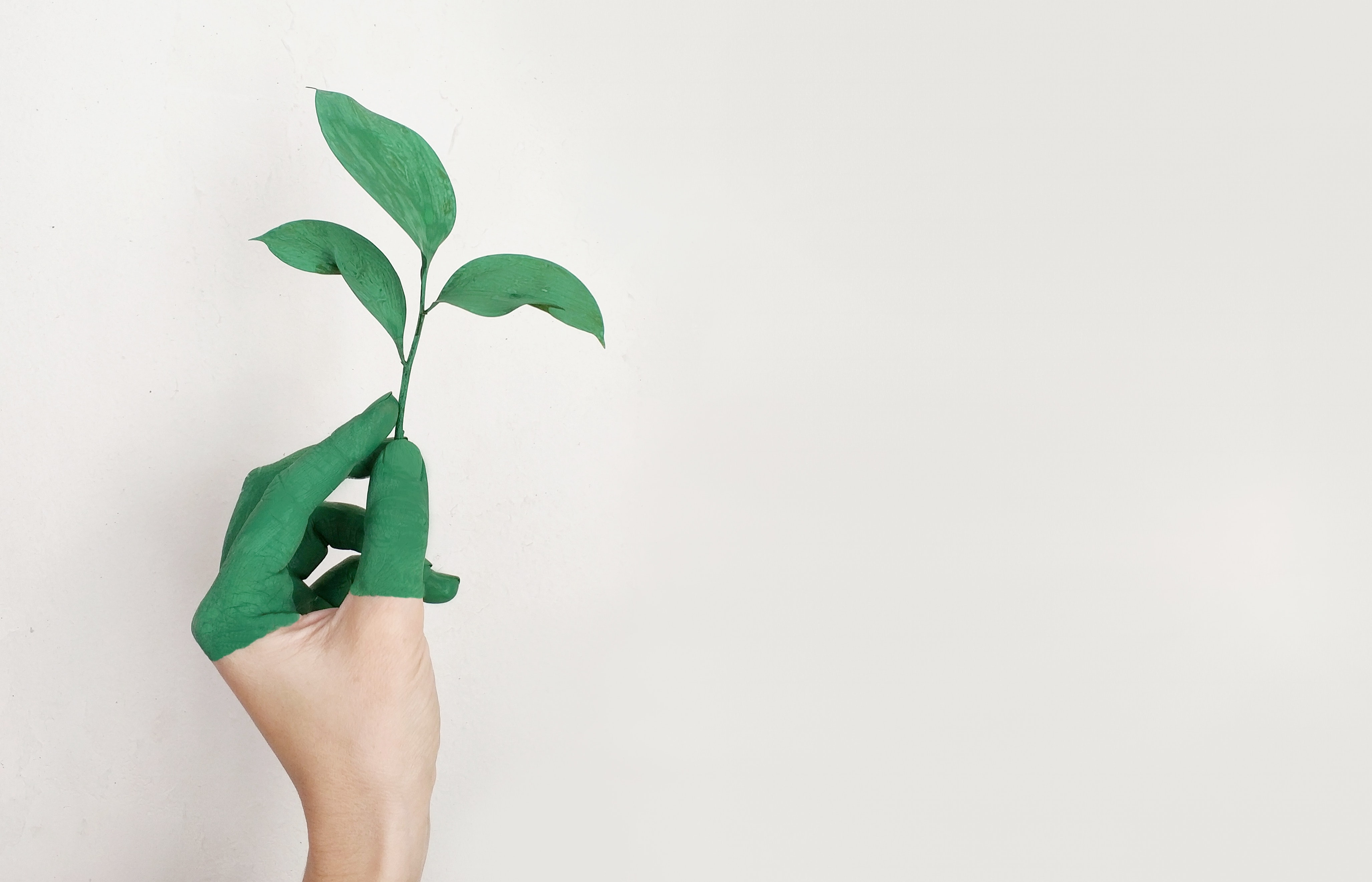 how-to-find-and-win-social-enterprise-funding hero image