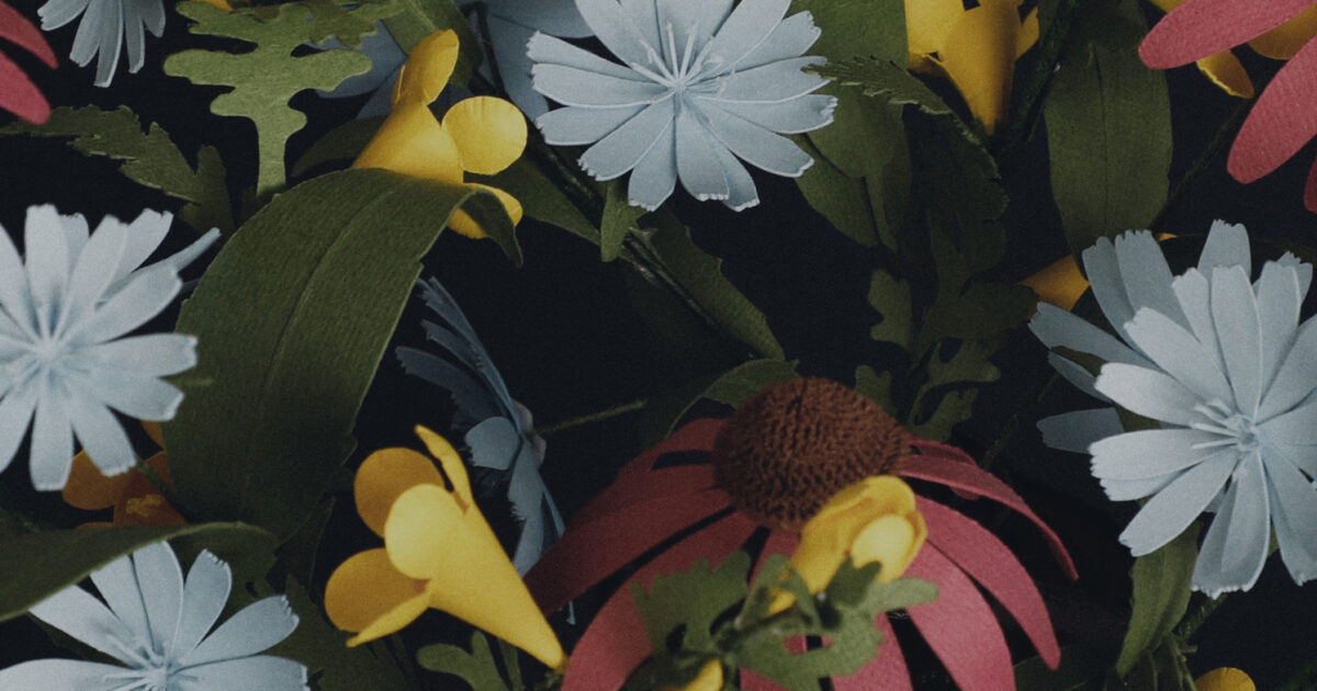 Field Notes | Fall Flowers