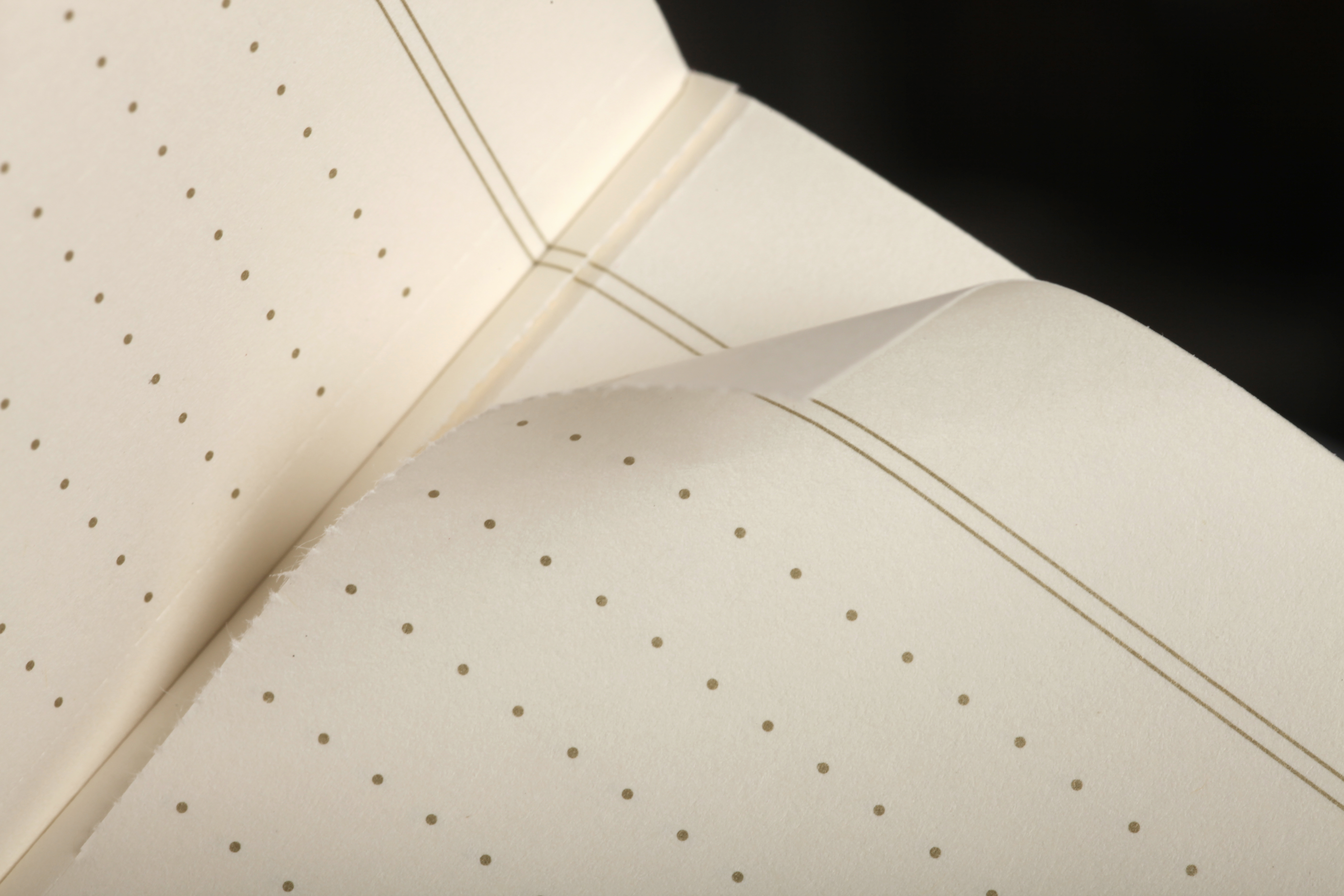 Field Notes | Field Notes