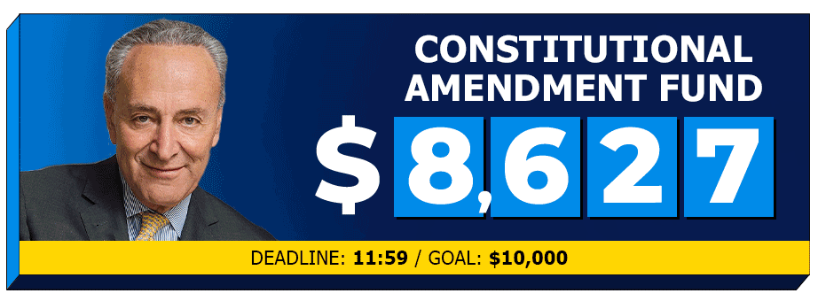 DONATIONS SOARING TO PASS THE CONSTITUTIONAL AMENDMENT TO OVERTURN CITIZENS UNITED