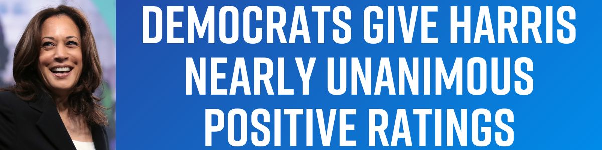 Democrats Give Harris Nearly Unanimous Positive Ratings