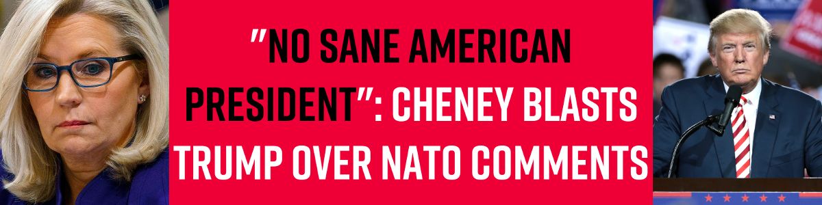 'No sane American President': Cheney blasts Trump over NATO comments