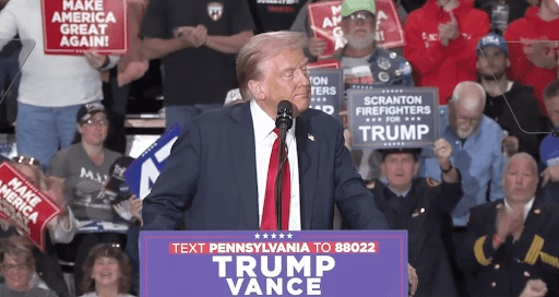 Image of Trump at a rally