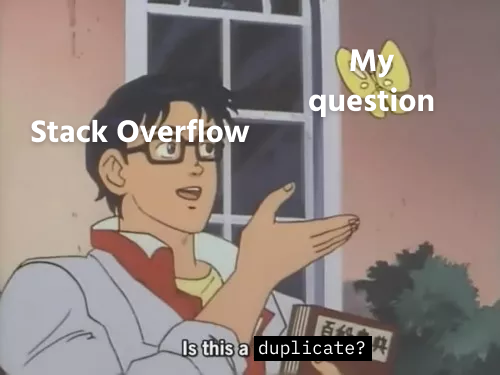 Confused programmer meme